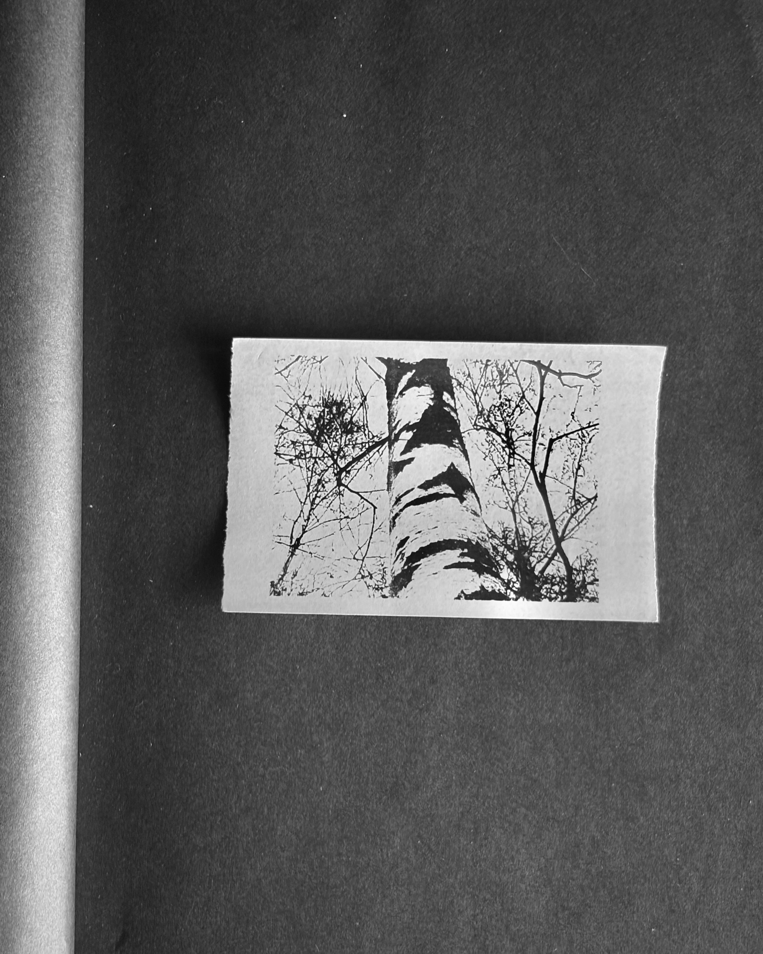 Fade. Художественная фотография. Фотография на плёнку. Илья Вараксин