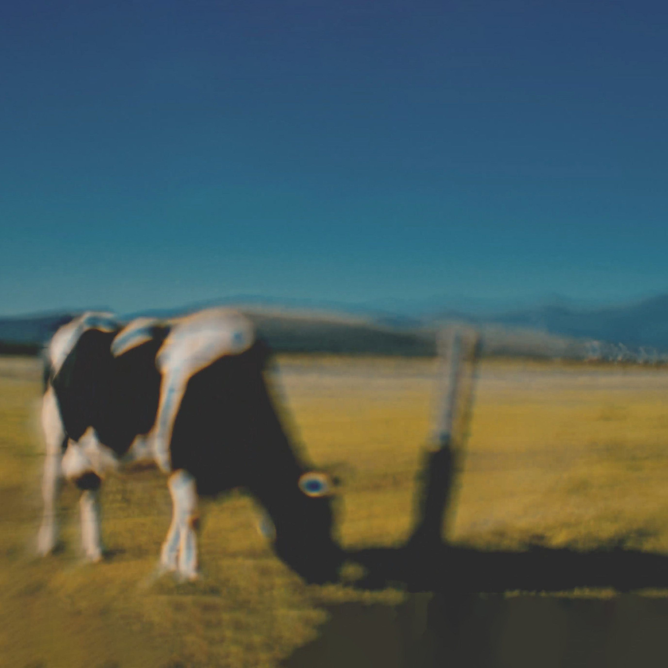 MONTENEGRO. Eduard Kopysov — International visual artist