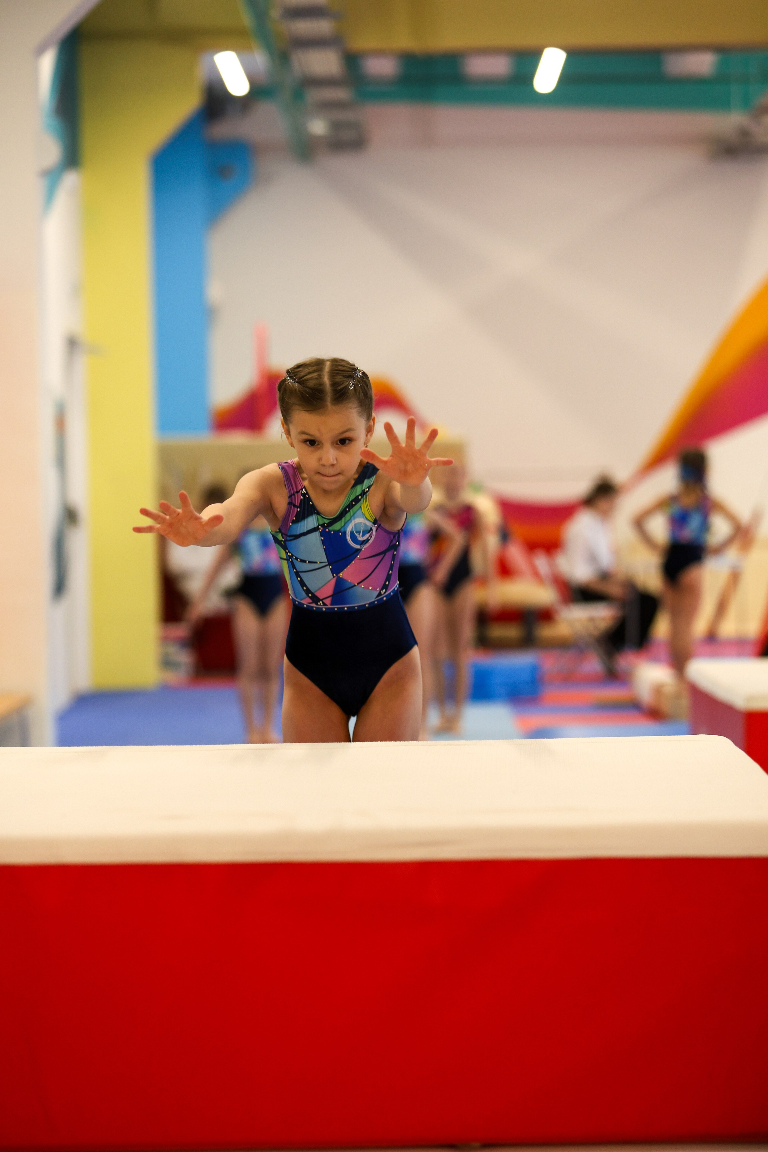 Спортивная гимнастика в школе Турнен. Фотограф в Москве портреты | репортажи | спорт