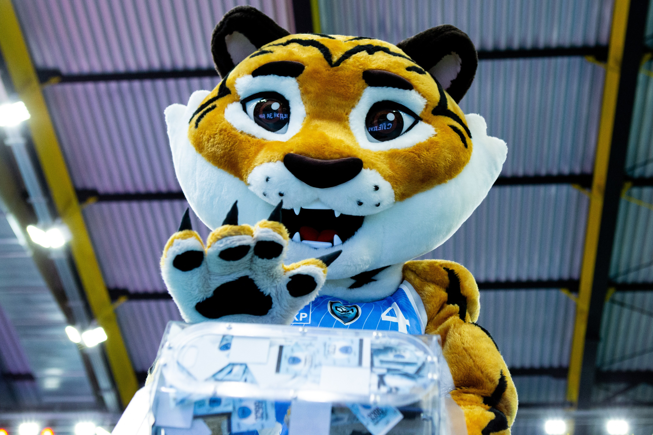 Один день из тура чемпионата России по волейболу. Кутузов Евгений Фотограф в Южно-Сахалинске