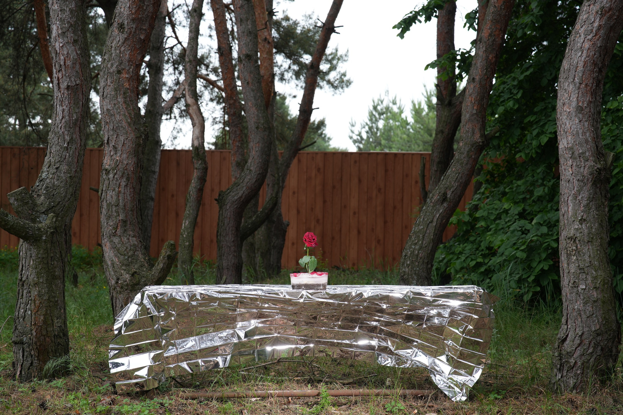 Services. Fine art Photographer Maxim Bout