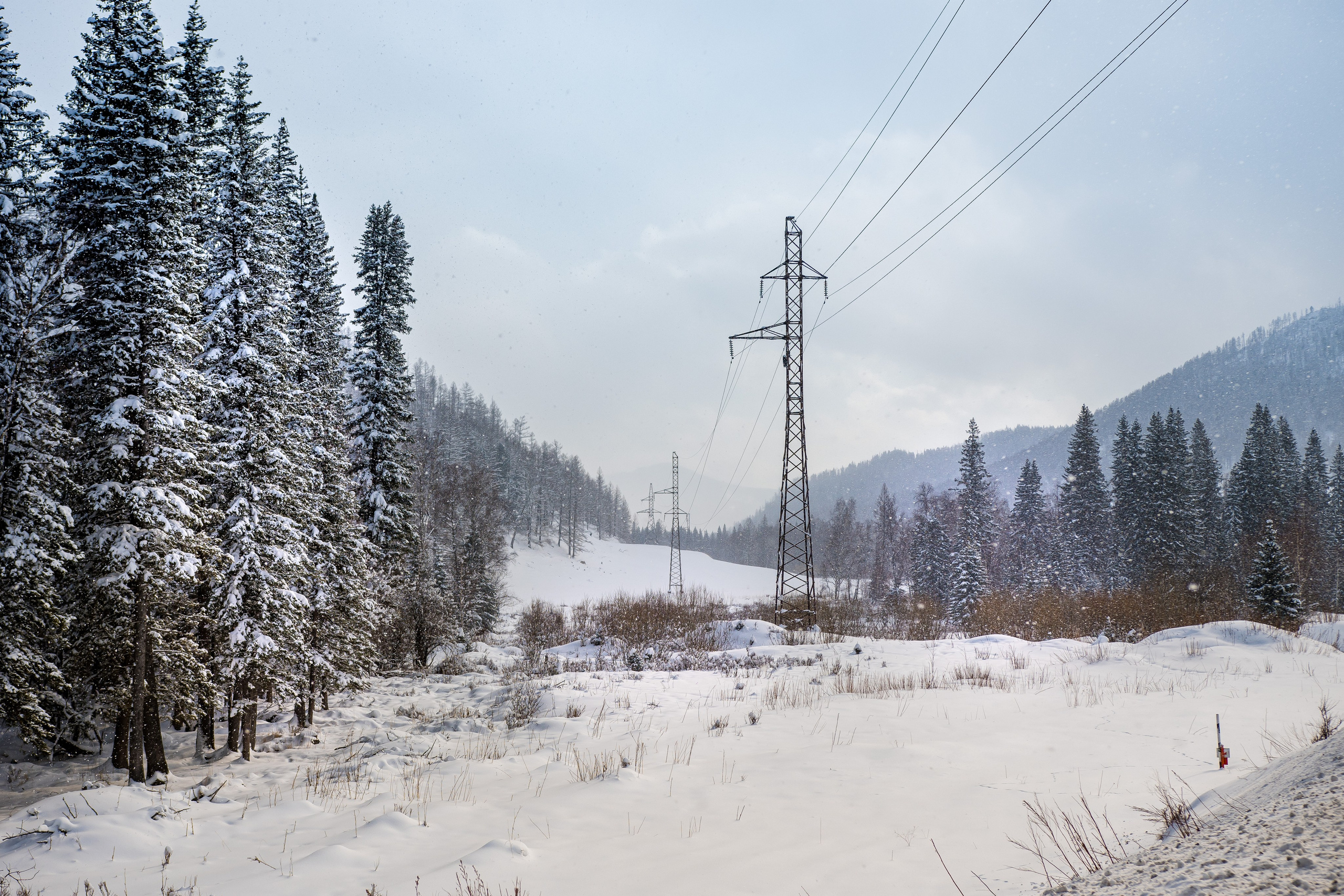 Творчество. Репортажный фотограф в Москве Измалков Артем