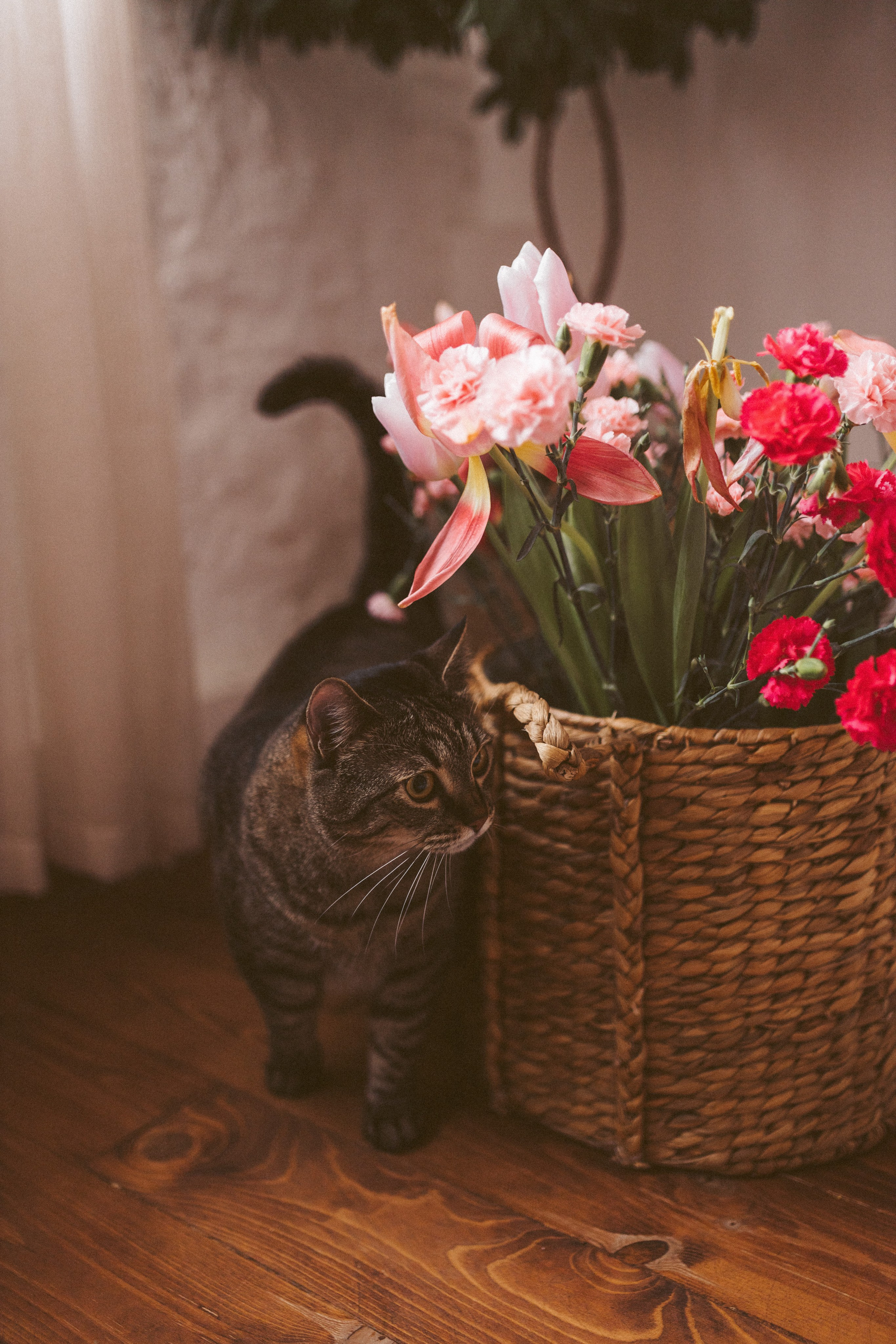Фотограф в Краснодаре Оксана Белецкая