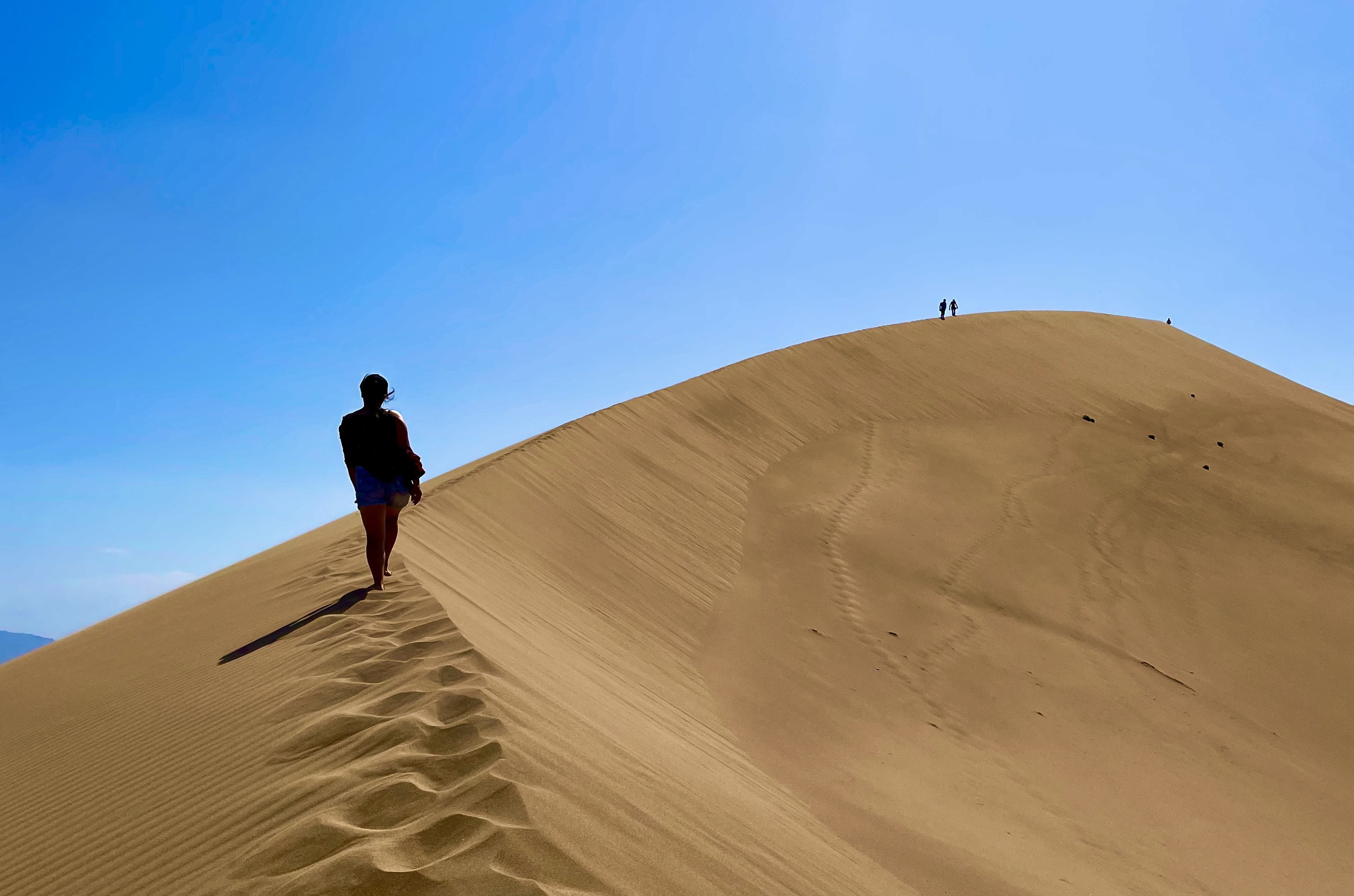 Melon Travel в Алматы: экскурсии и джип туры в Чарынский каньон, озера Каинды, Кольсай, Иссык, национальный парк Алтын Эмель