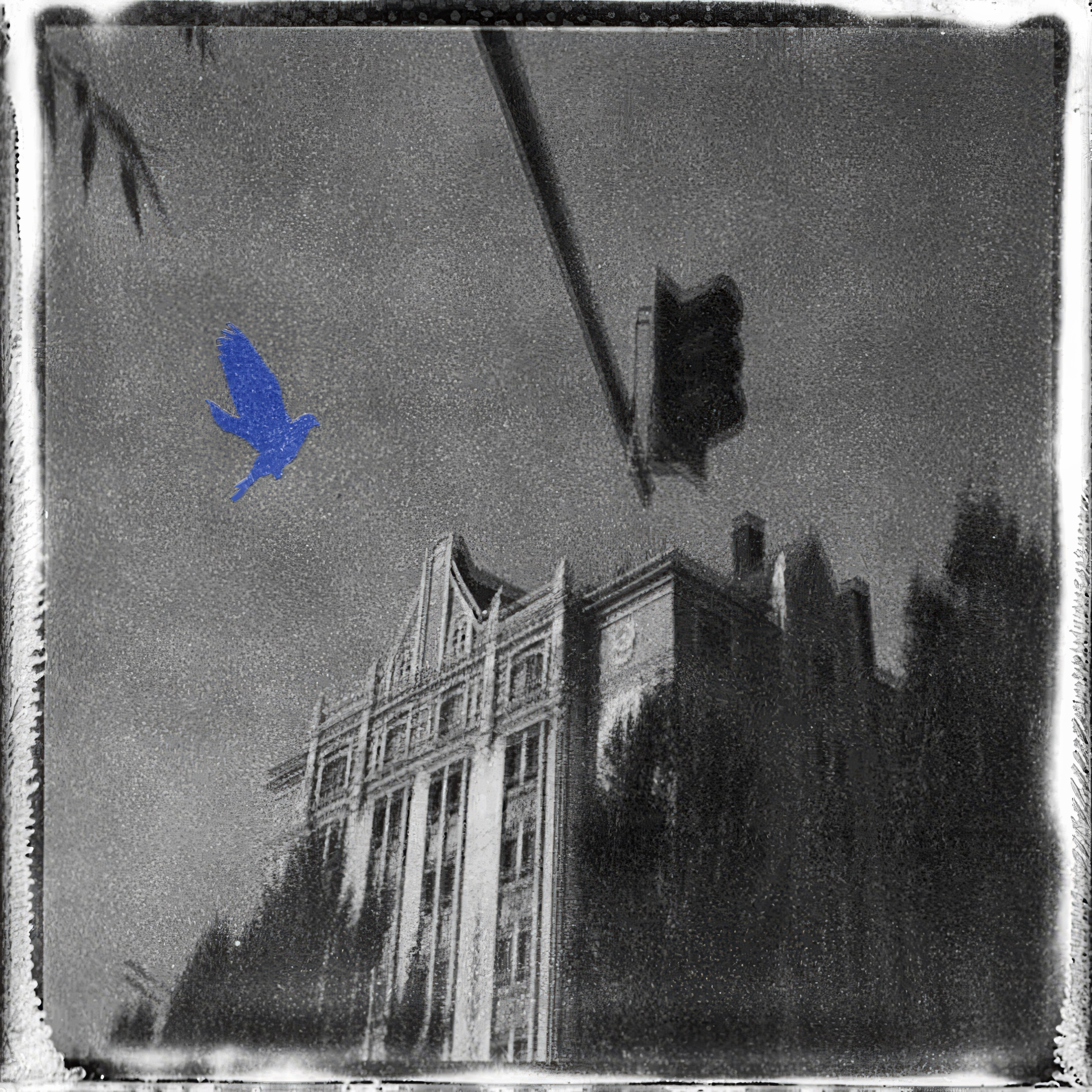 Liberation project by Vladimir Borele. Vladimir Borele Photographer