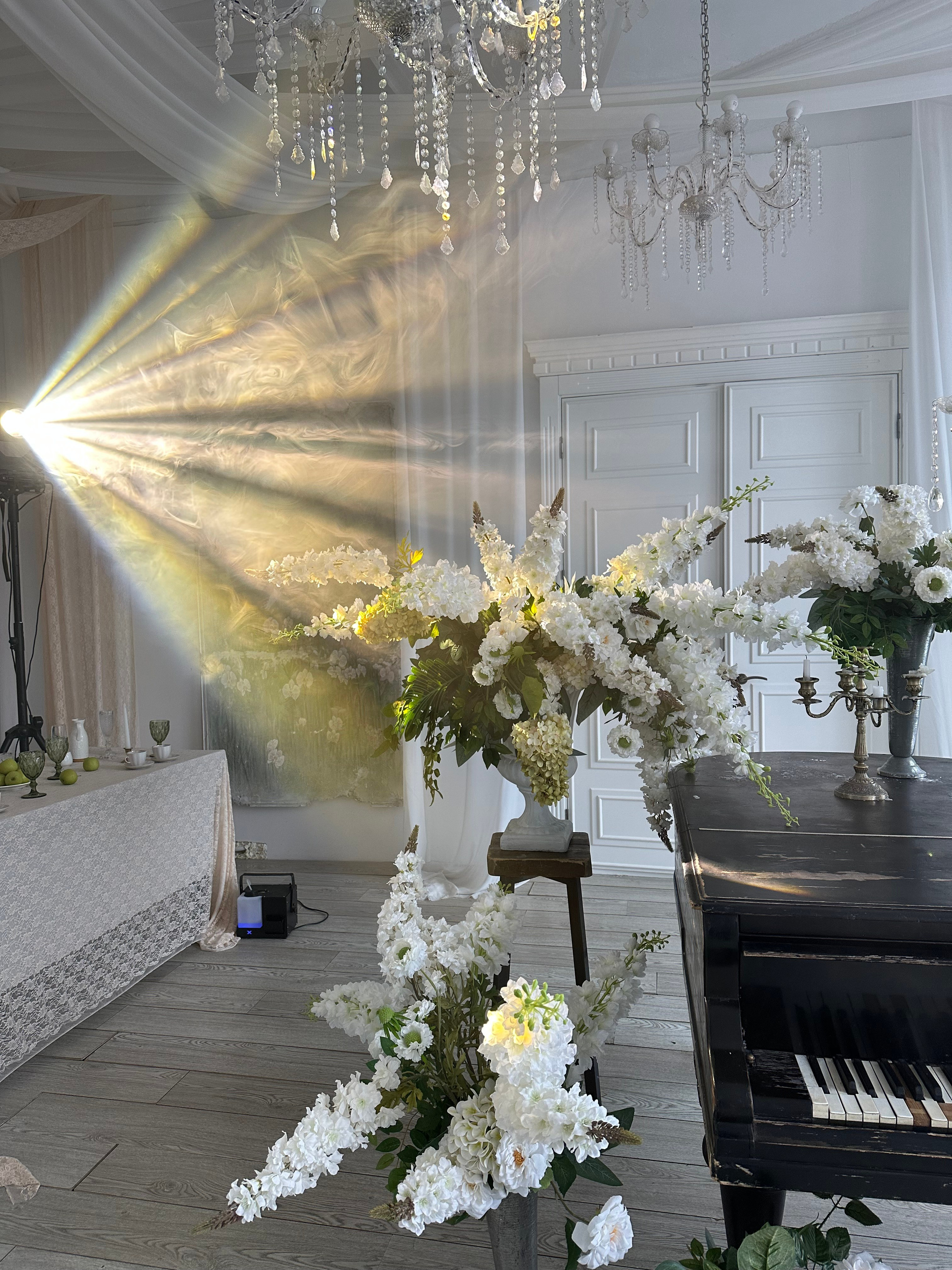 Нежная гортензия & Терпкое вино. Фотограф Красноярск