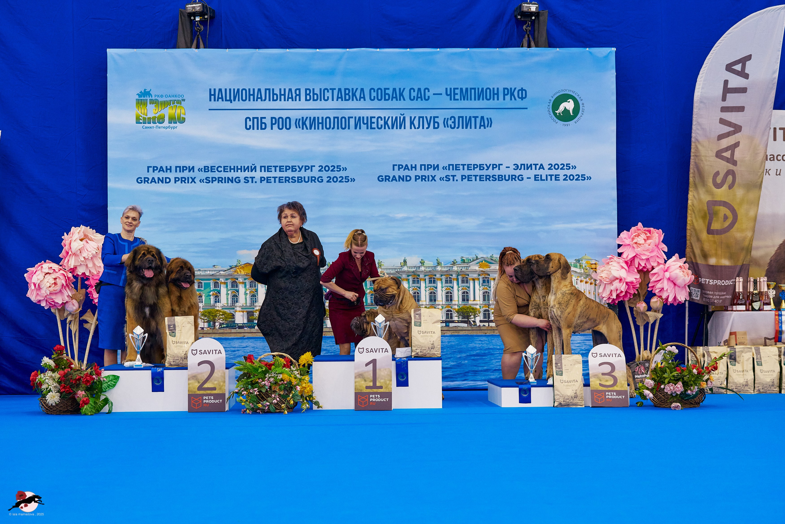 ГРАН ПРИ «ВЕСЕННИЙ ПЕТЕРБУРГ» & «СУПЕР КУБОК «ЭЛИТЫ»-2025»