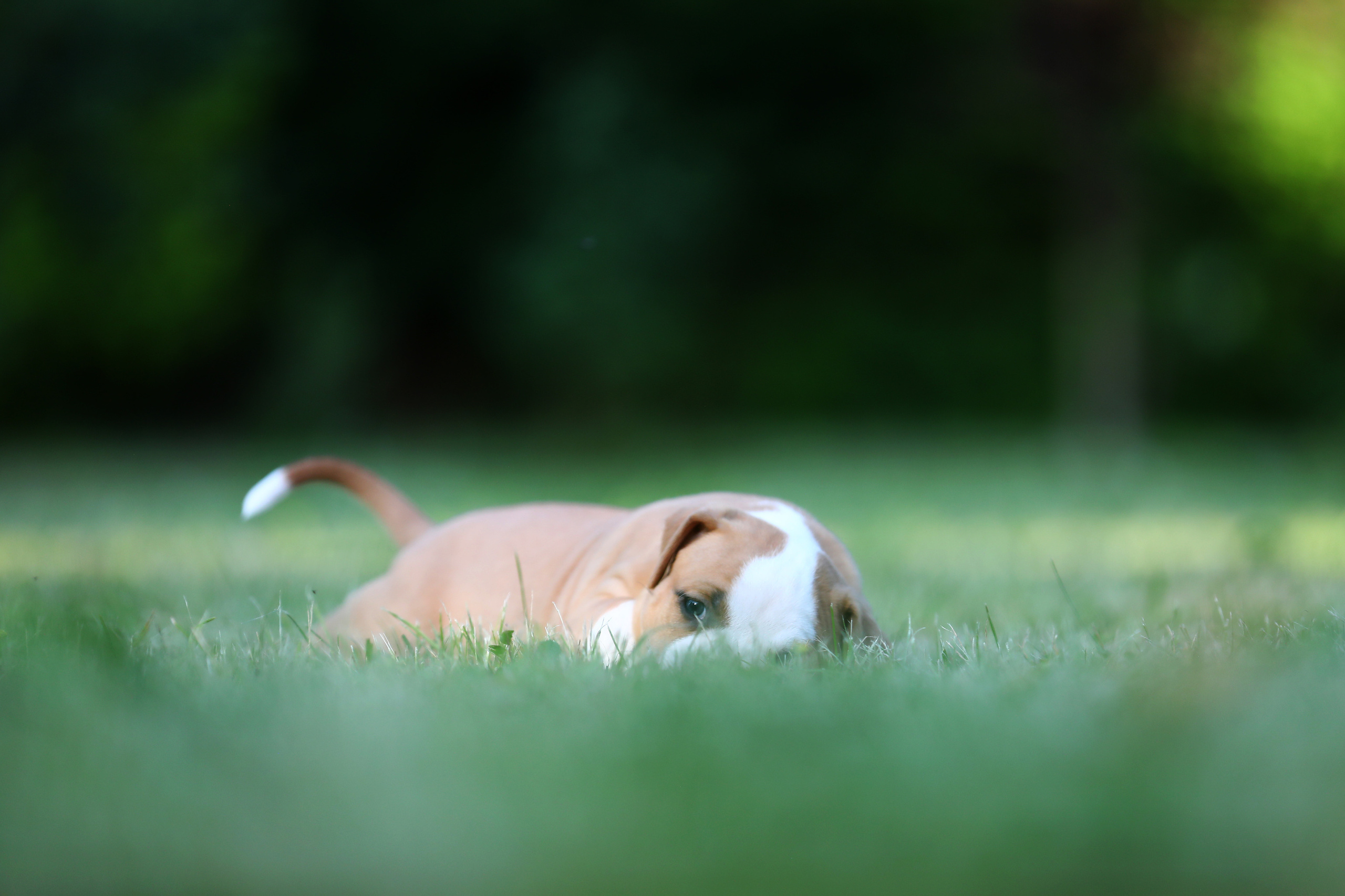 Фотограф Дмитрий Бородин
