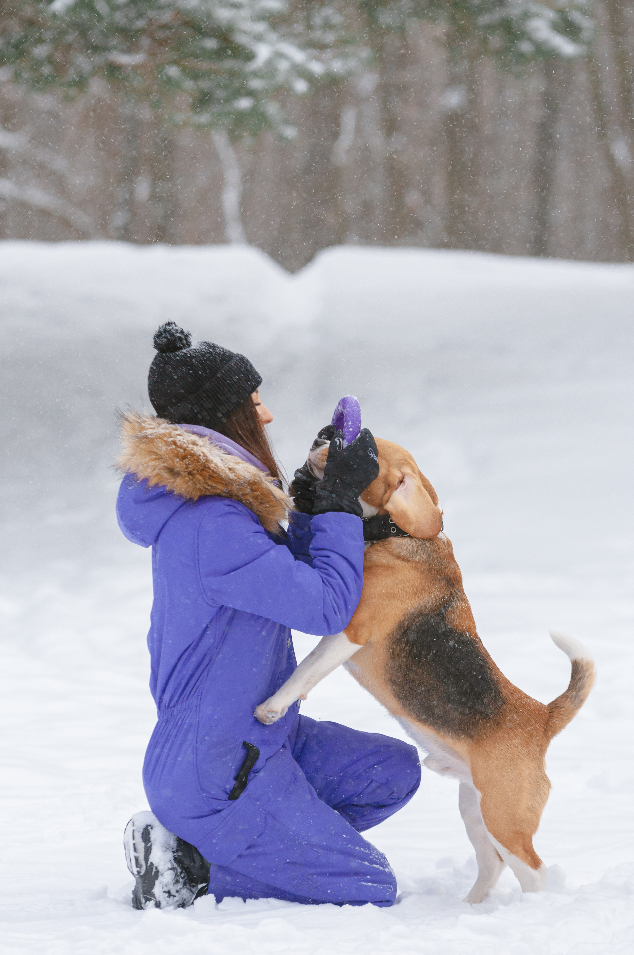 Бигль Лил. Мотофотограф в Нижнем Новгороде Динара Зуйкова