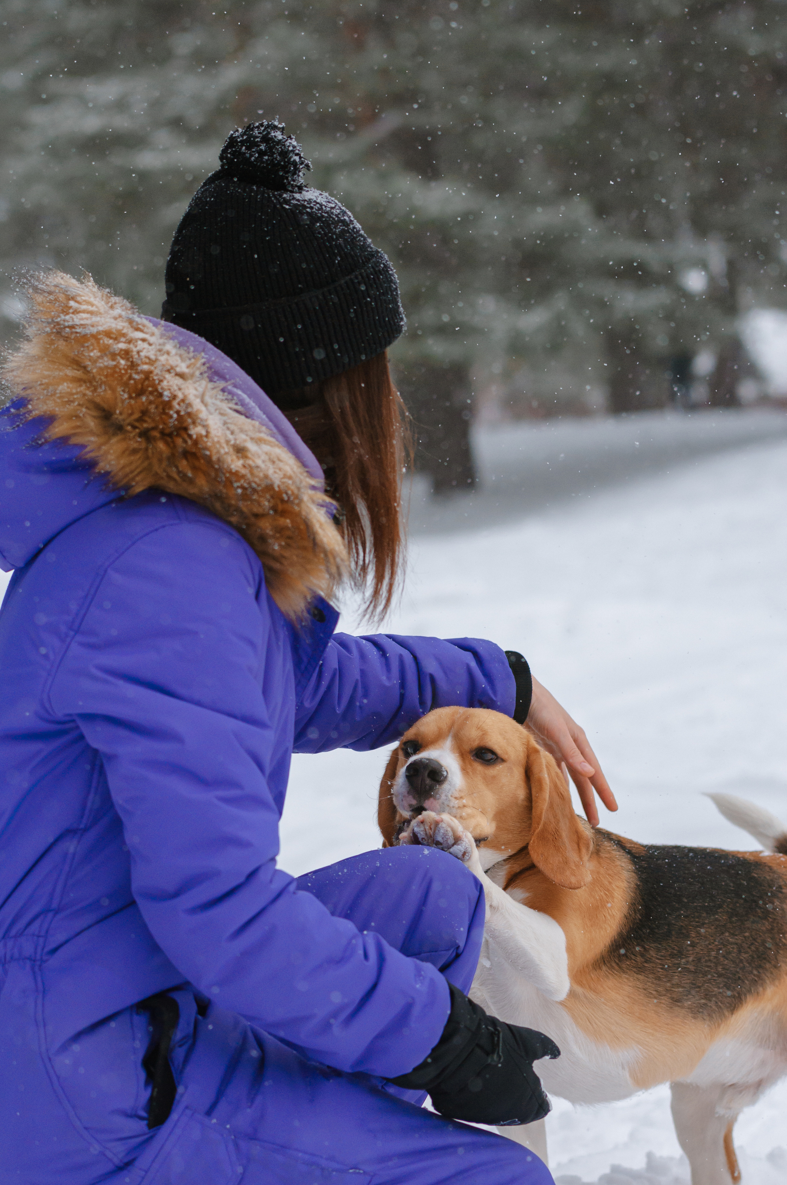 Бигль Лил. Мотофотограф в Нижнем Новгороде Динара Зуйкова