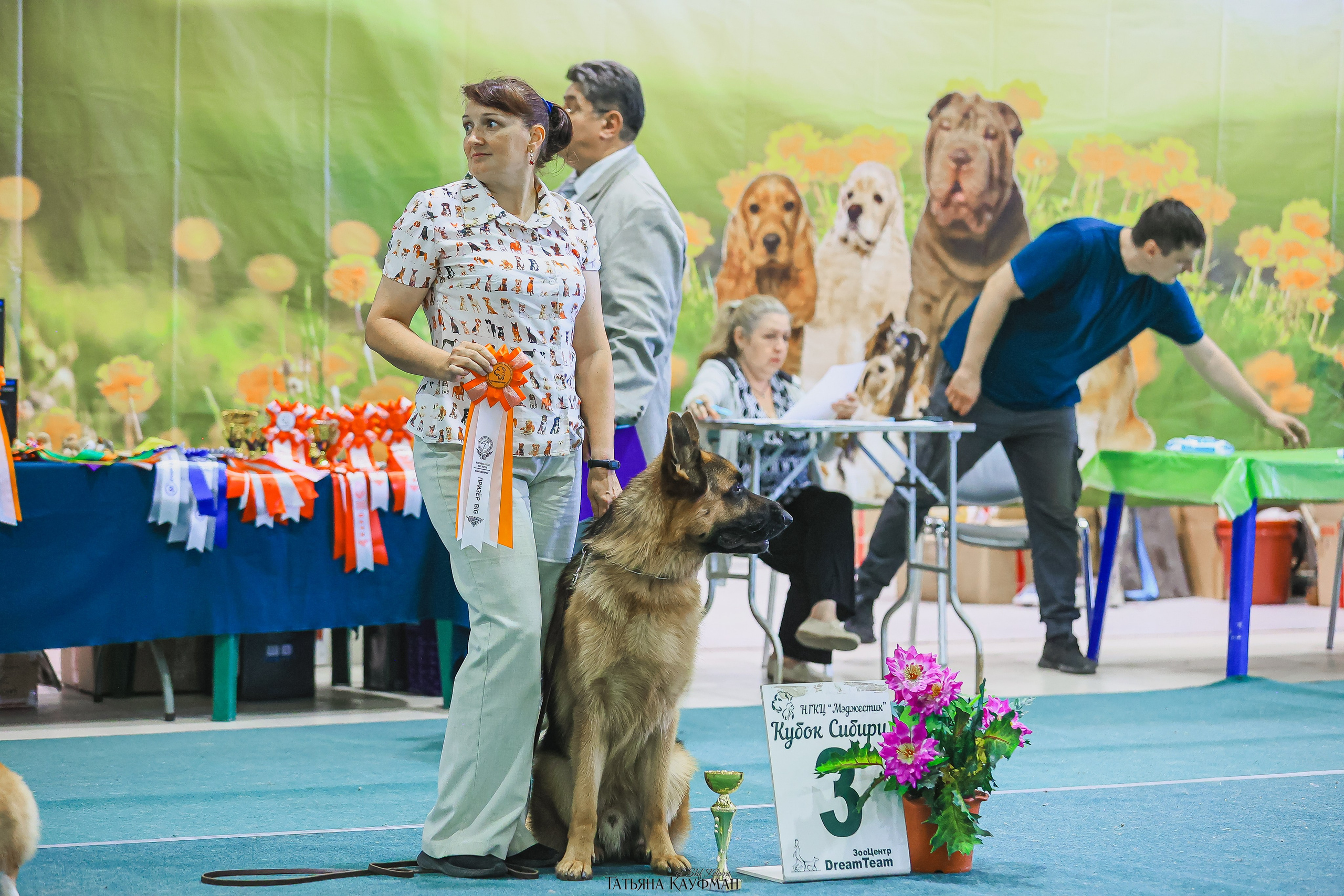 13.07.25 2х выставки собак. Новосибирск. «Кубок Сибири»