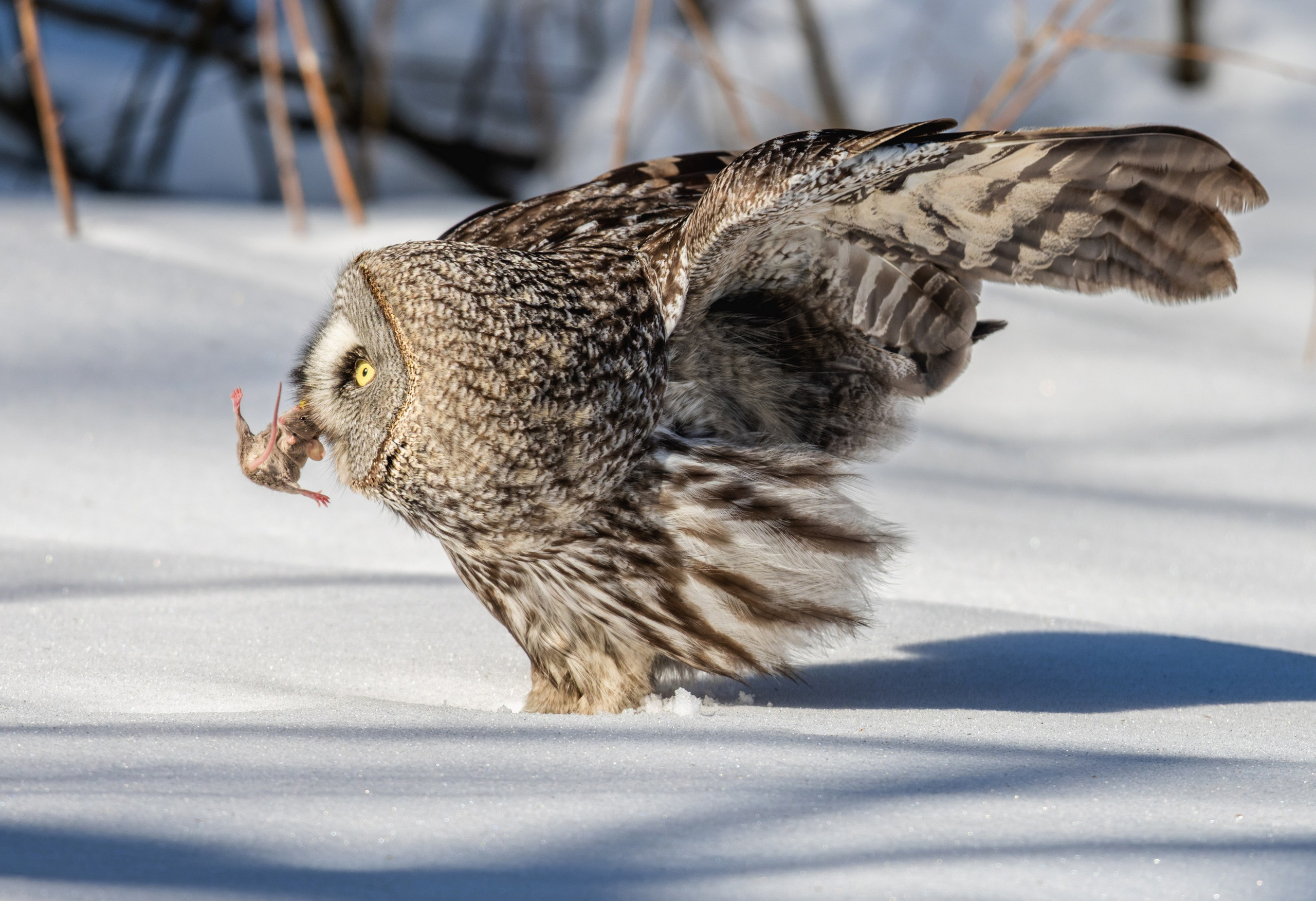 Творчество. Константин Дем | Фотограф