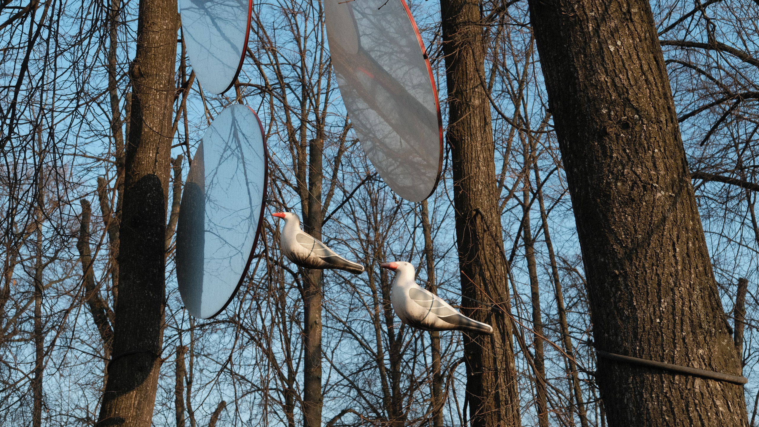 29.03 — 30.03.2025 // фотовыезд в Ярославль. Фотовыставки serebro.gallery, в которых автором можешь стать ты! | Москва