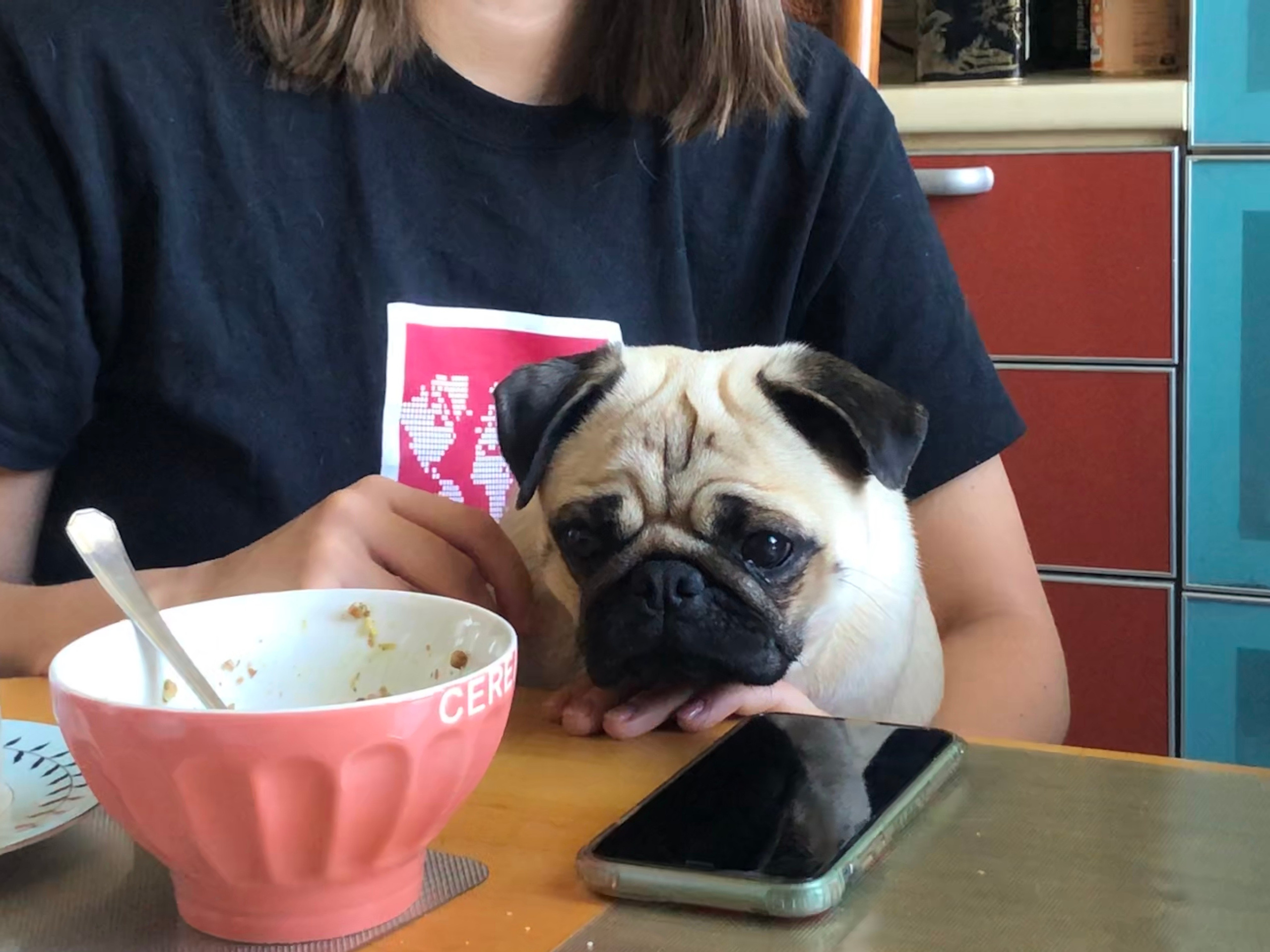 Автор: Дарья Зуева