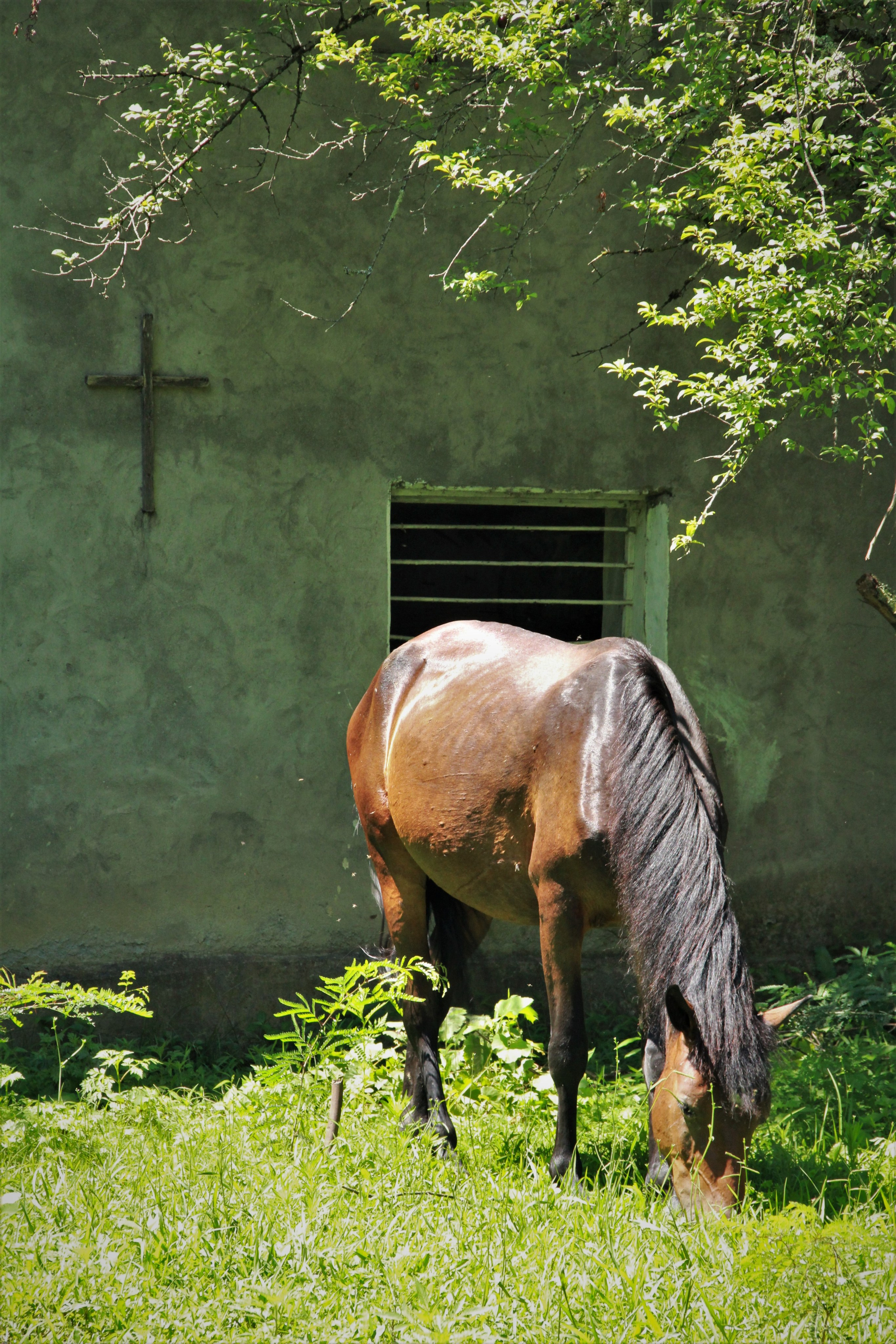 Автор: Александра Серебровская