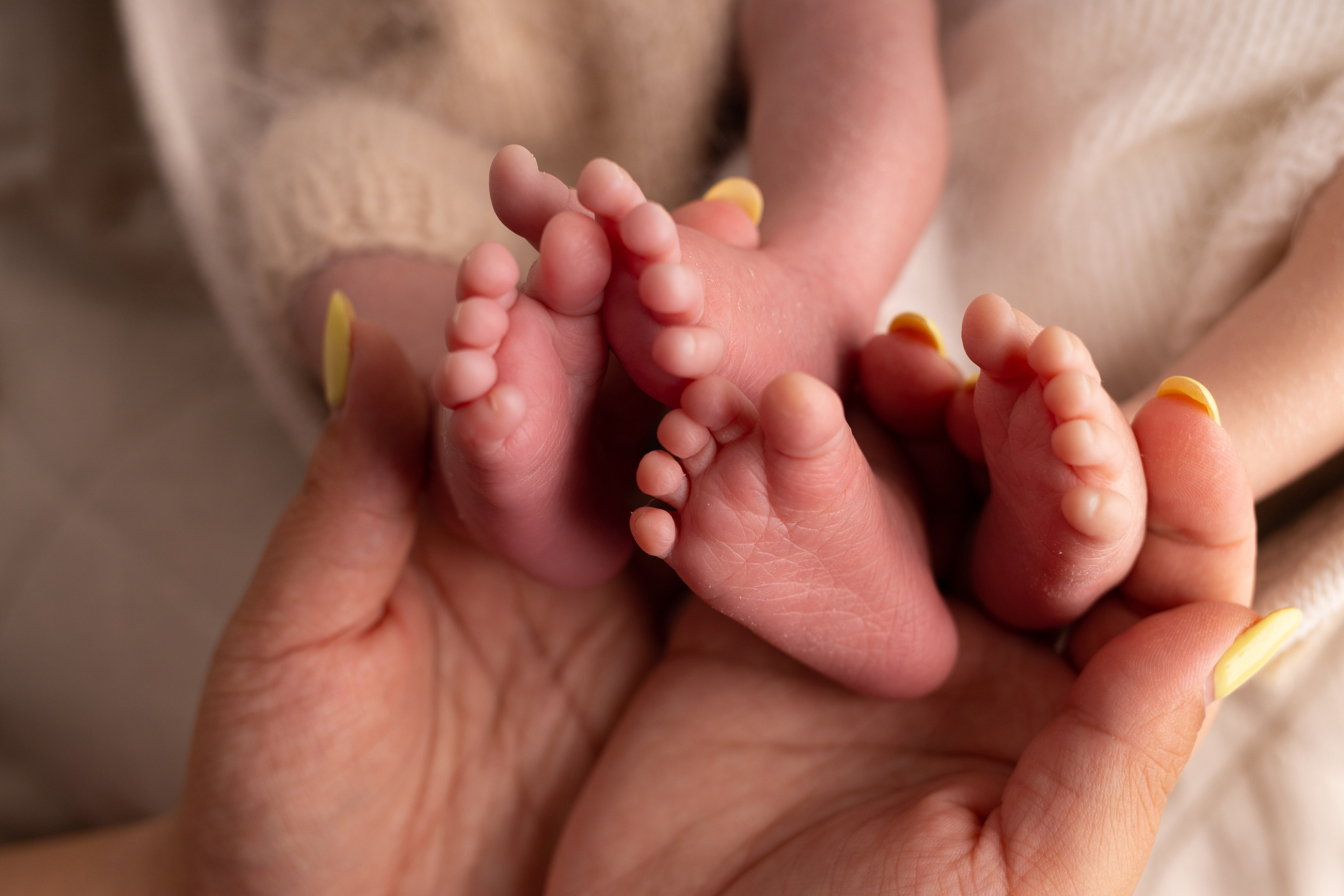 Стоимость услуг. Фотограф новорожденных малышей в Омске и Омской области Эльвира Камаева