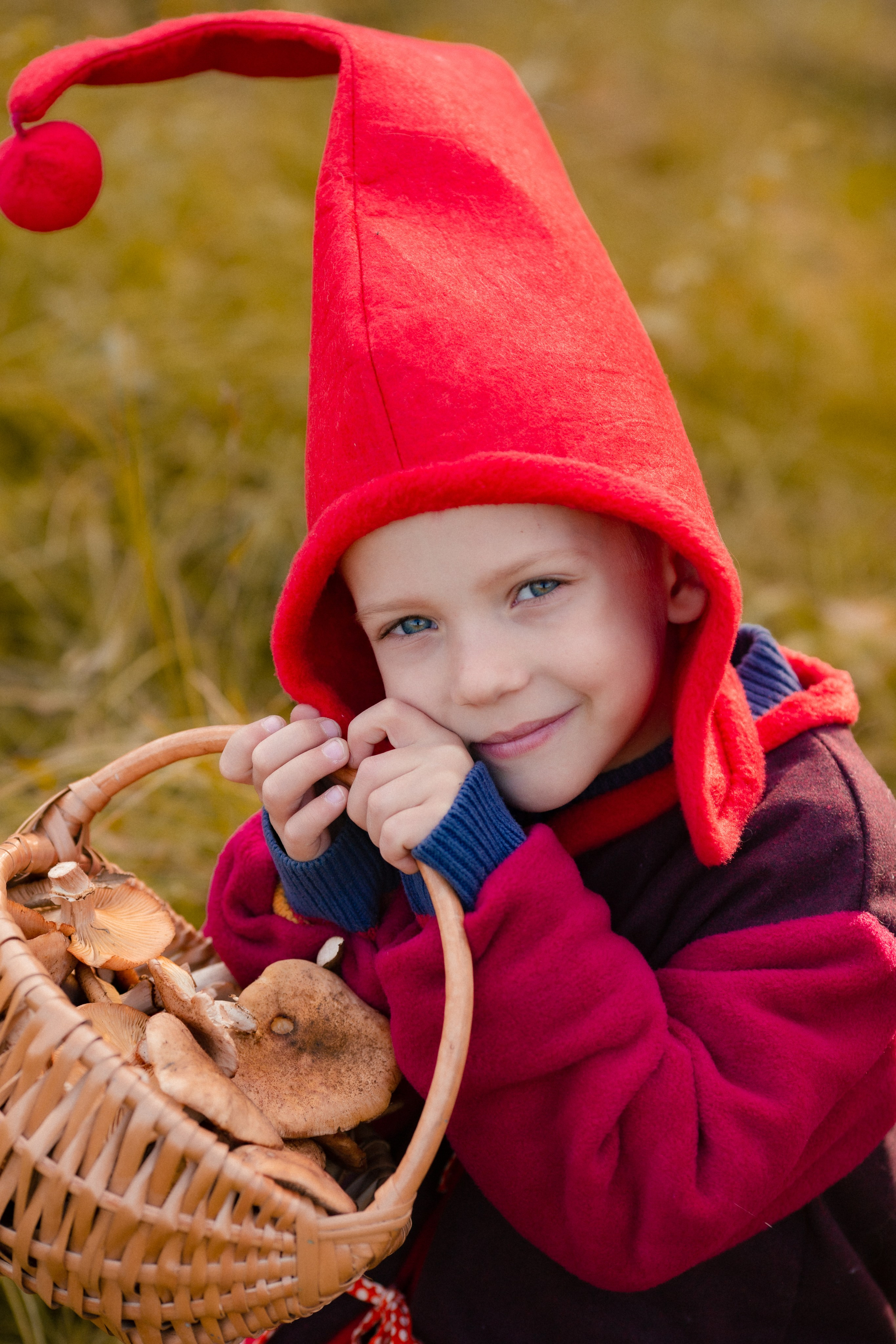 Лесные гномы