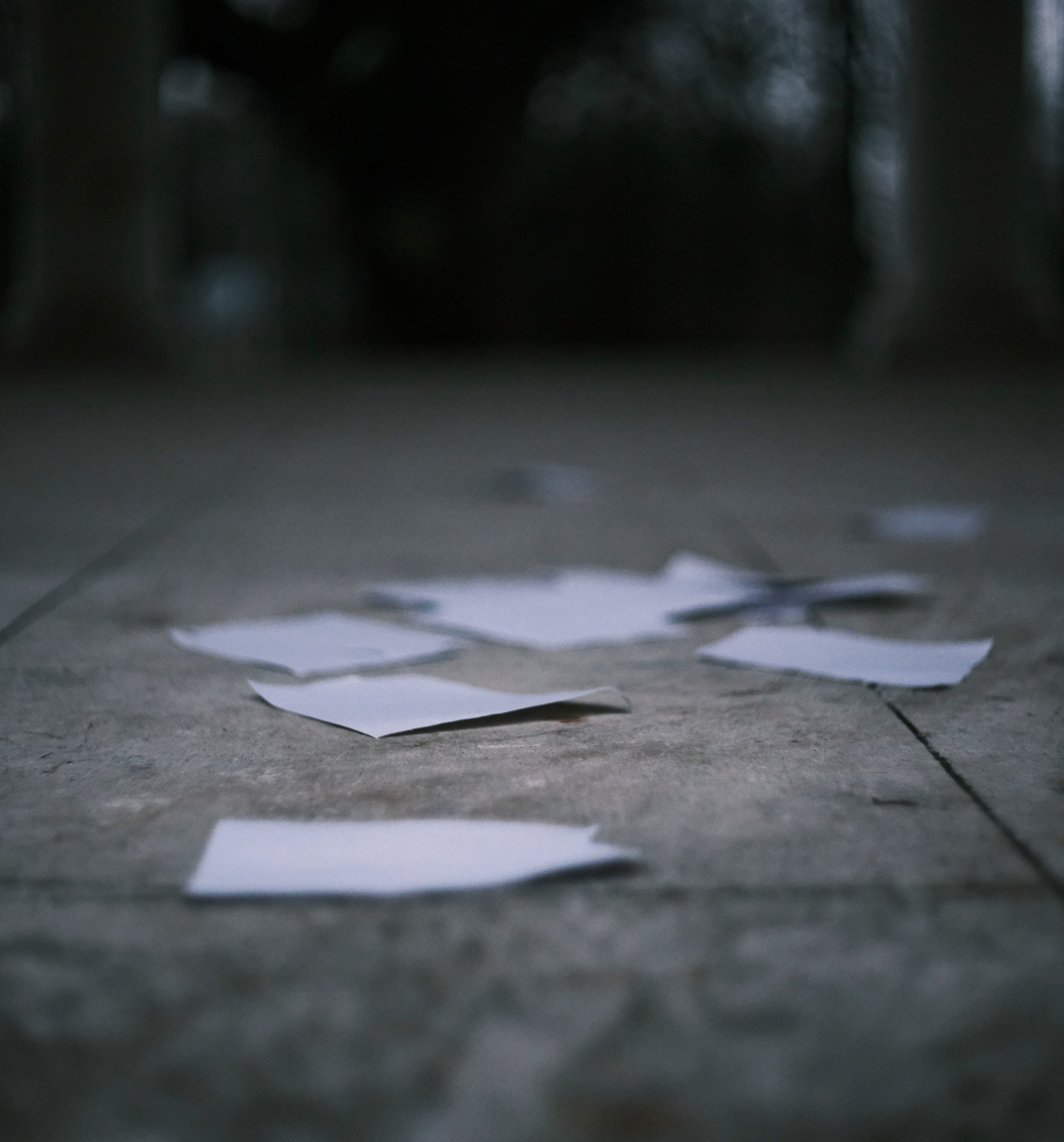 Стихи в поэтов летающие по усадьбе