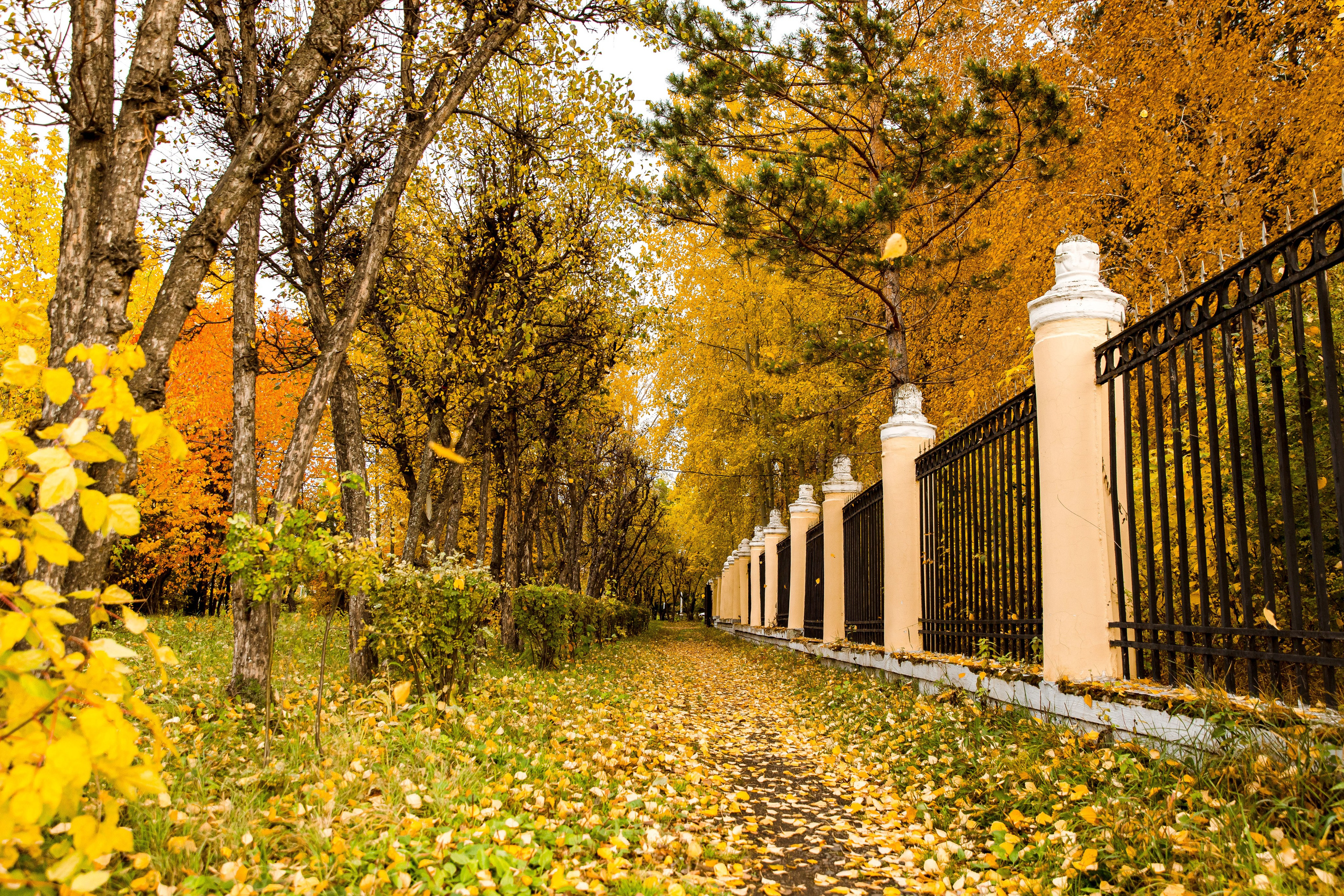 Осень в парке. Семейный и детский фотограф в Железногорске Саламахо Ольга