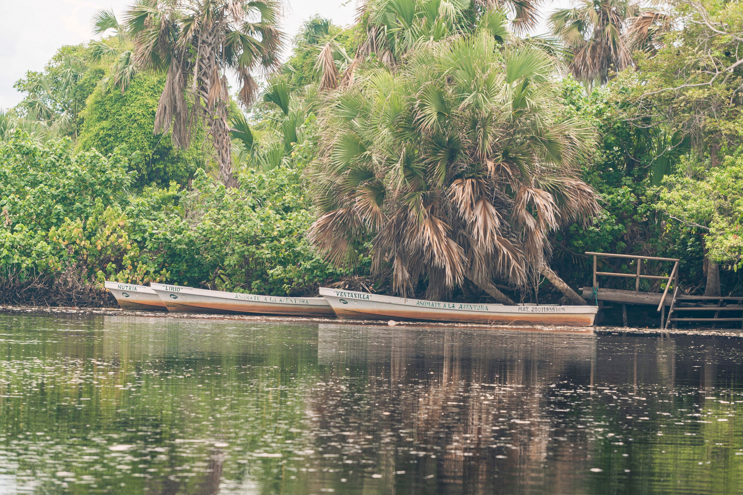 Crocos’ Paradise. CDMX Photography | Alex Klenin| Portrait & Event Photographer