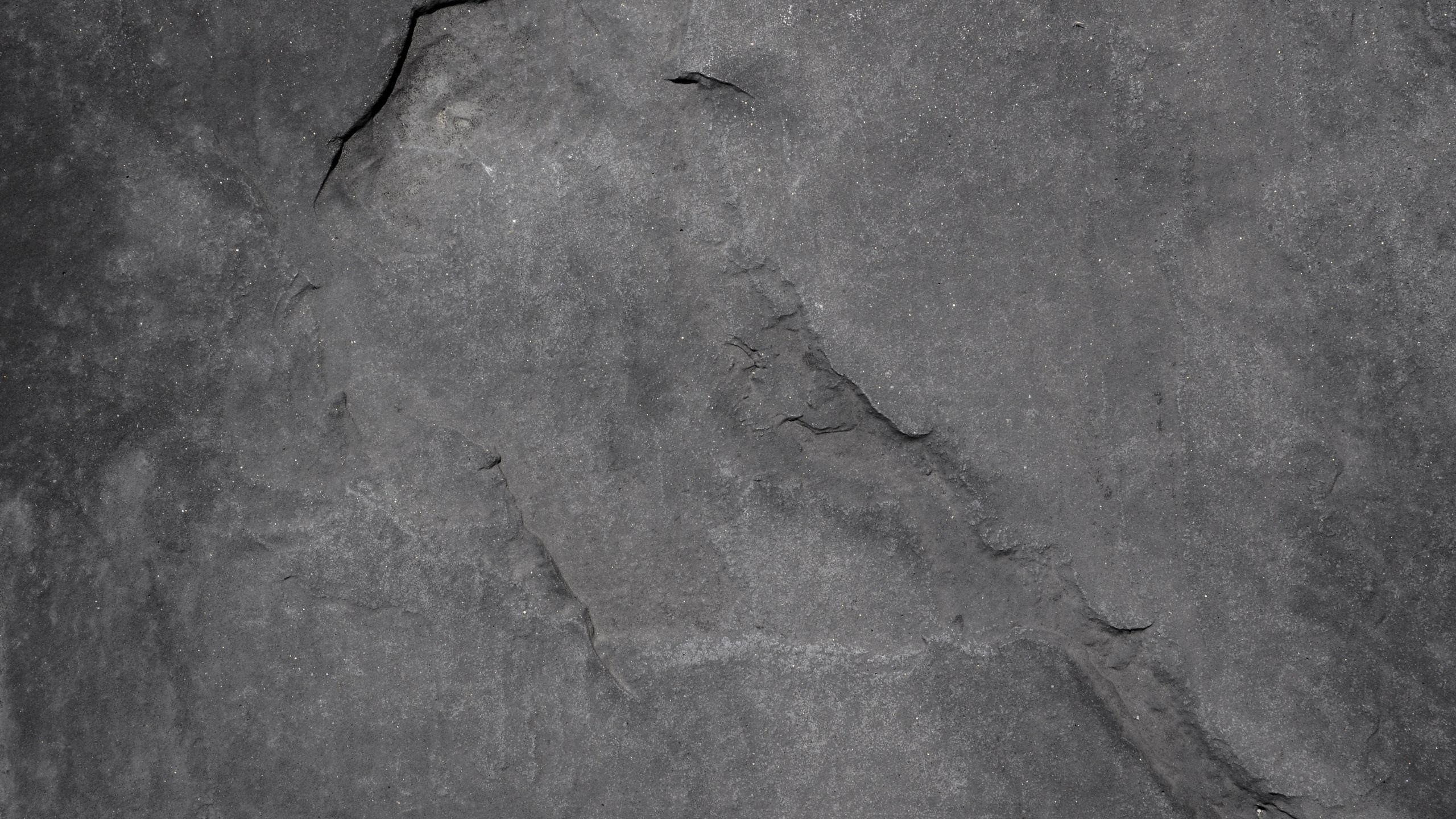 Портфолио в других сферах. Фотограф Тимофей Юров Москва