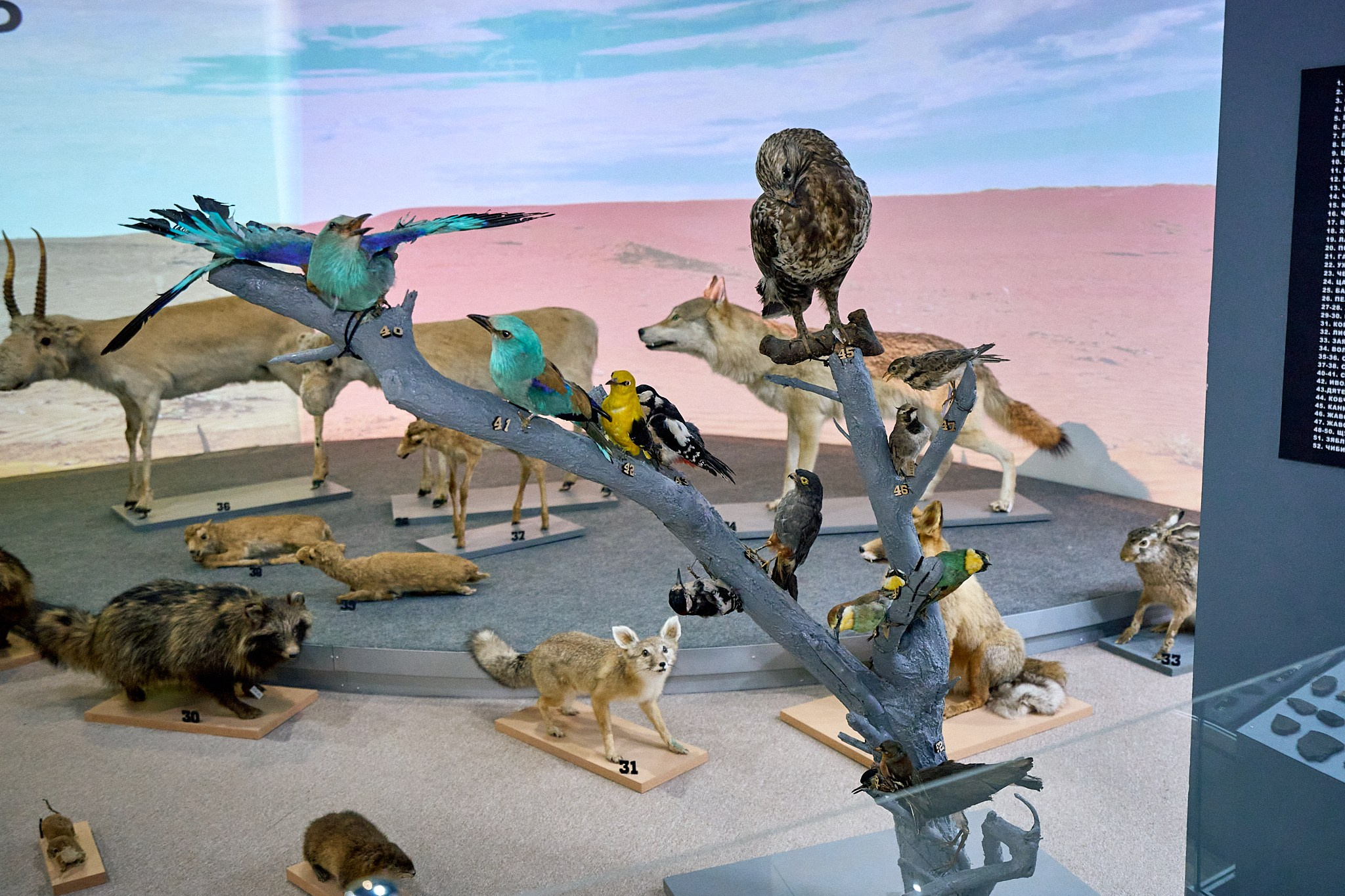 Элиста 08.2024. Петр Ступень. Свадебное, семейное фото и видео. Москва. Краснодар