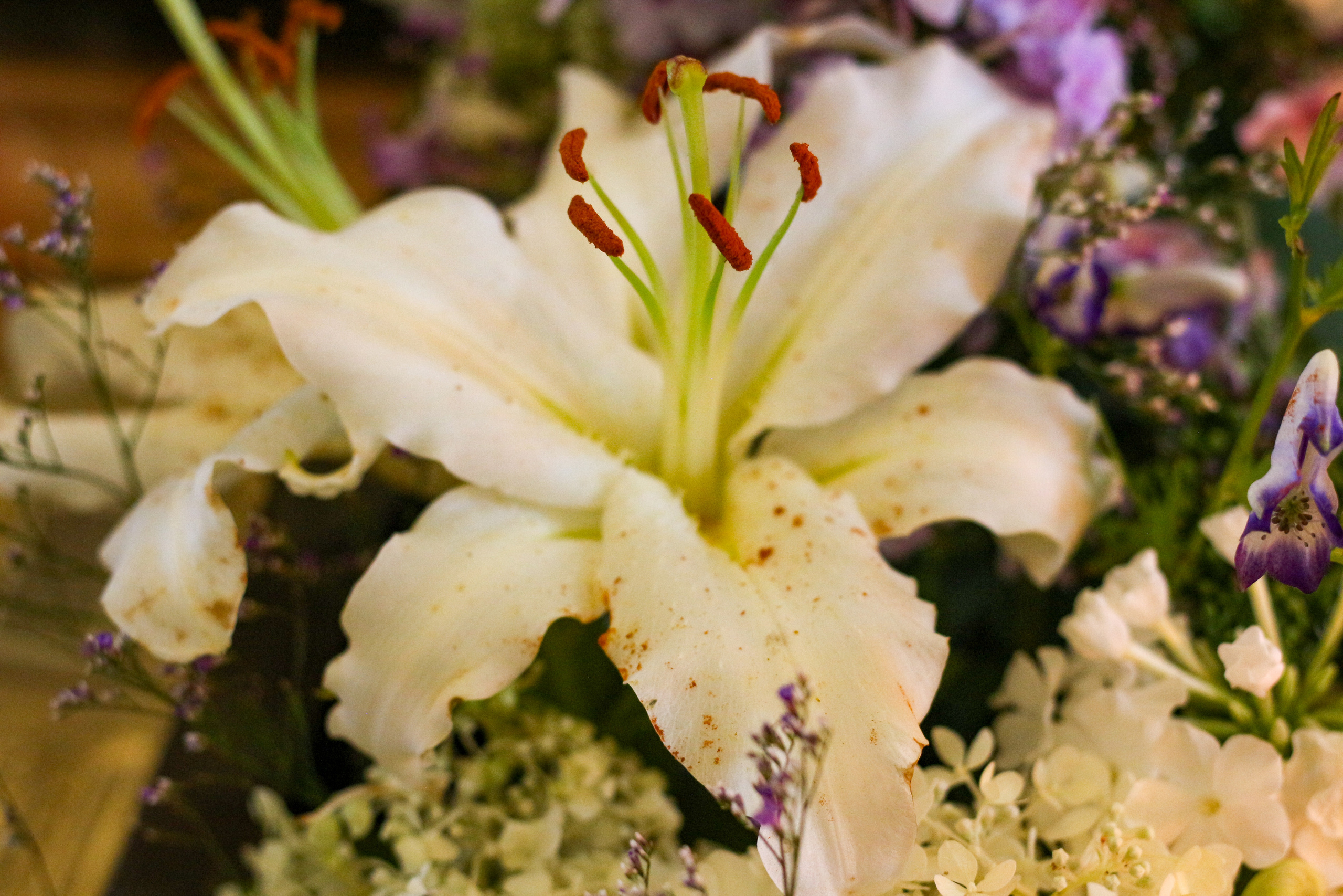 Крестный ход со Смоленской иконой Божией Матери