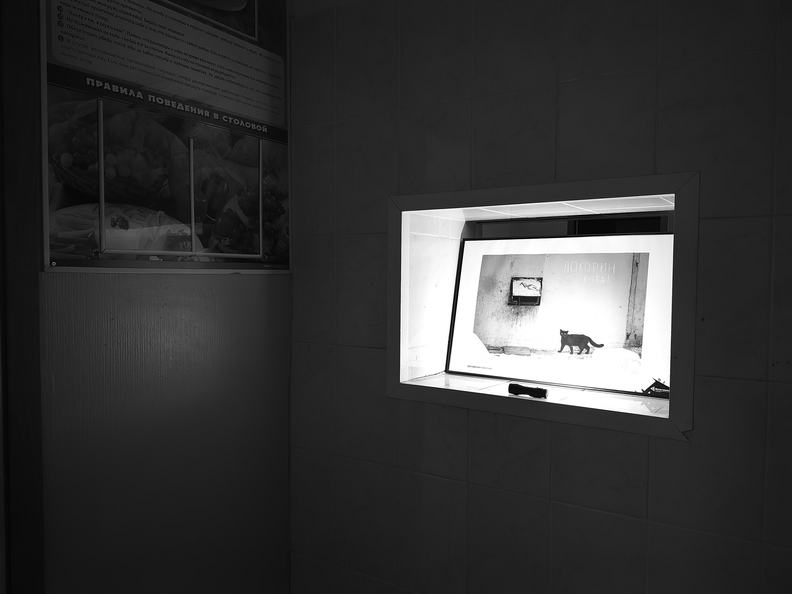 Медынь 12.06.2024. Фотострелка