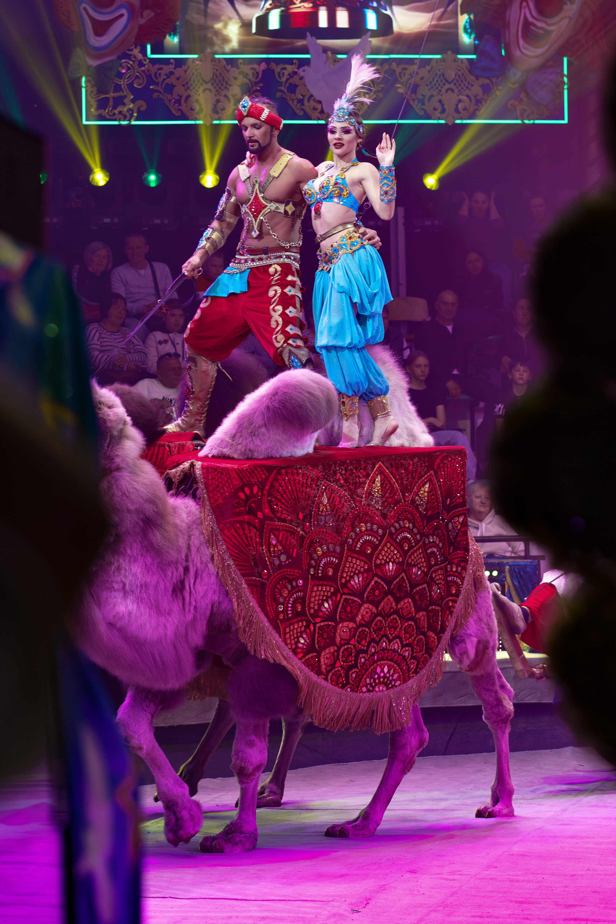 «Королевский цирк Гии Эрадзе»