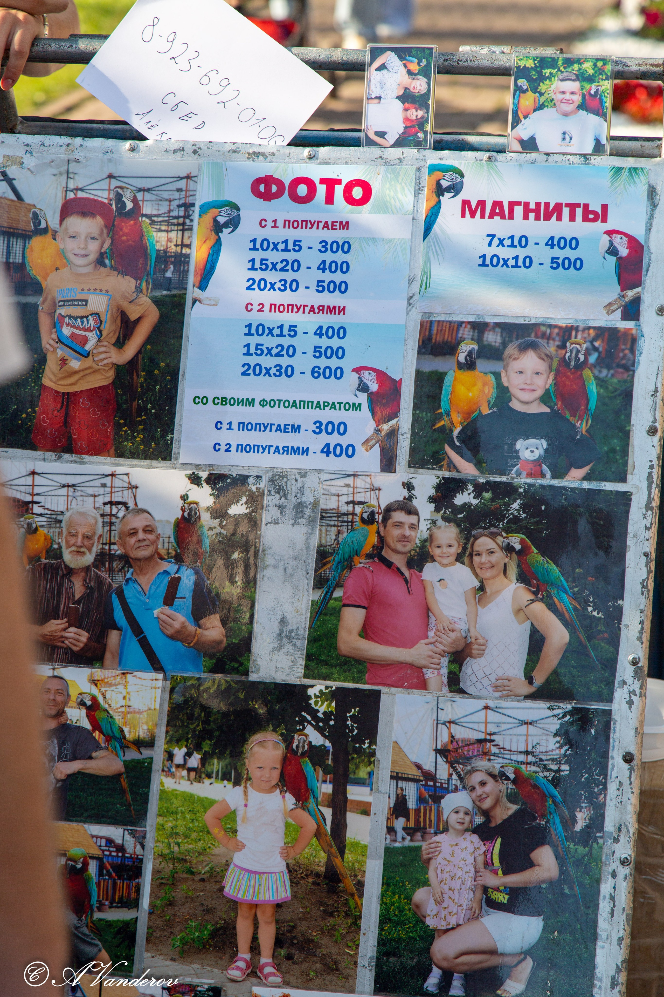 День города 03.08.2024. Фотограф Омск | Александр Вандеров