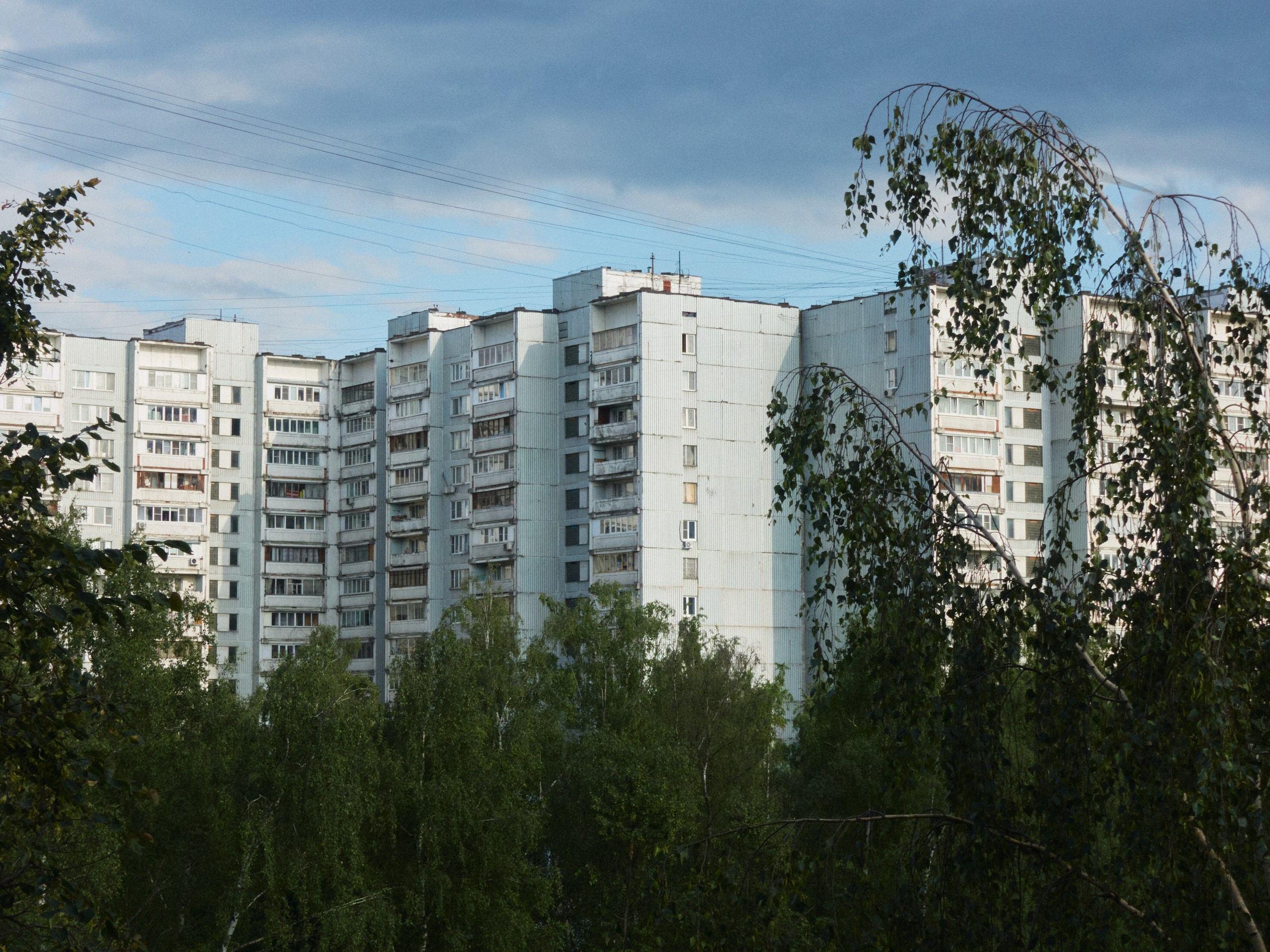 Сезон цветения полыни. Иван Кобяков