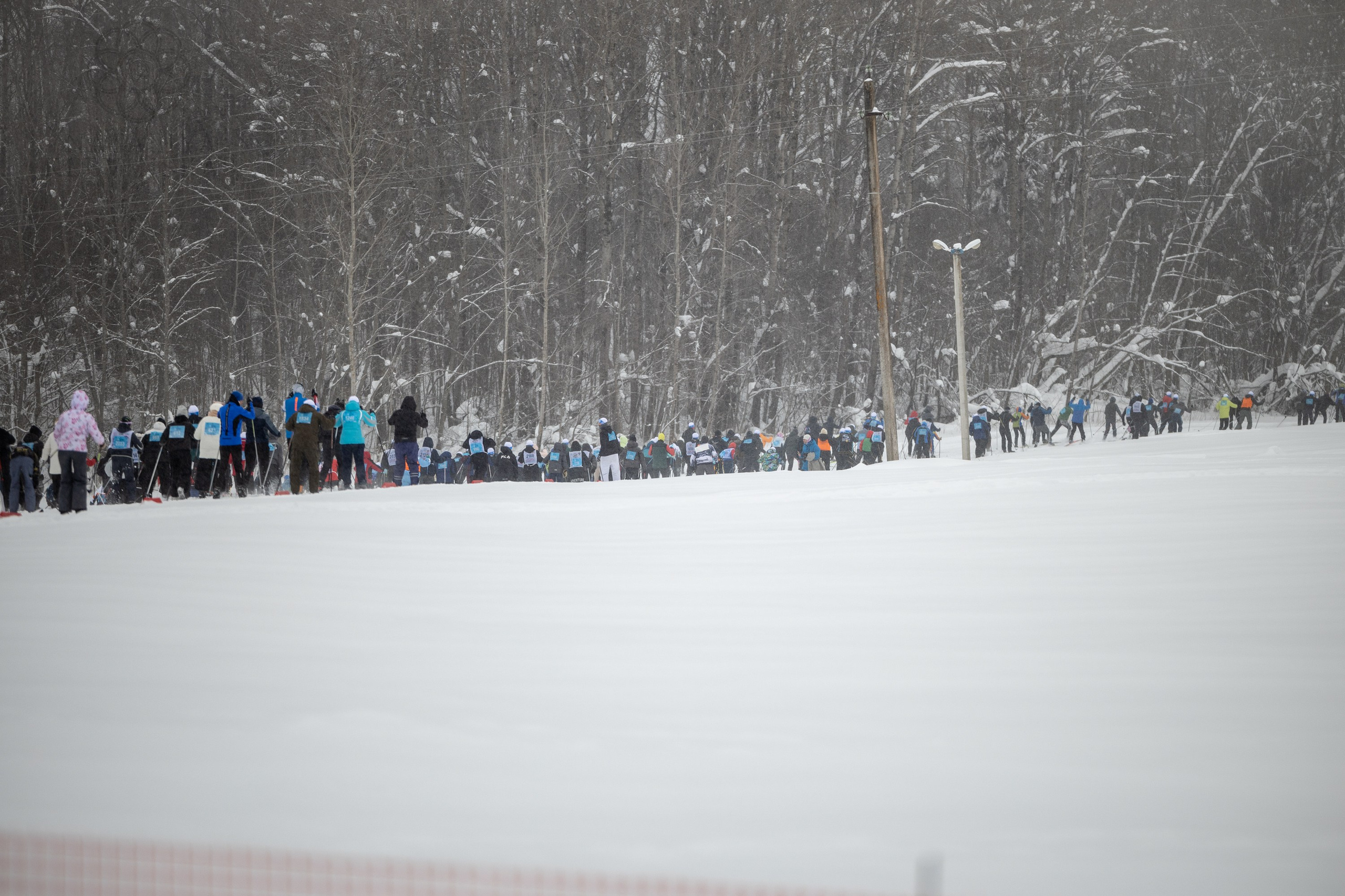 ЛЫЖНЯ РОССИИ 2026 КОСТРОМА. Портретный фотограф в Костроме Наталия Клевинскас