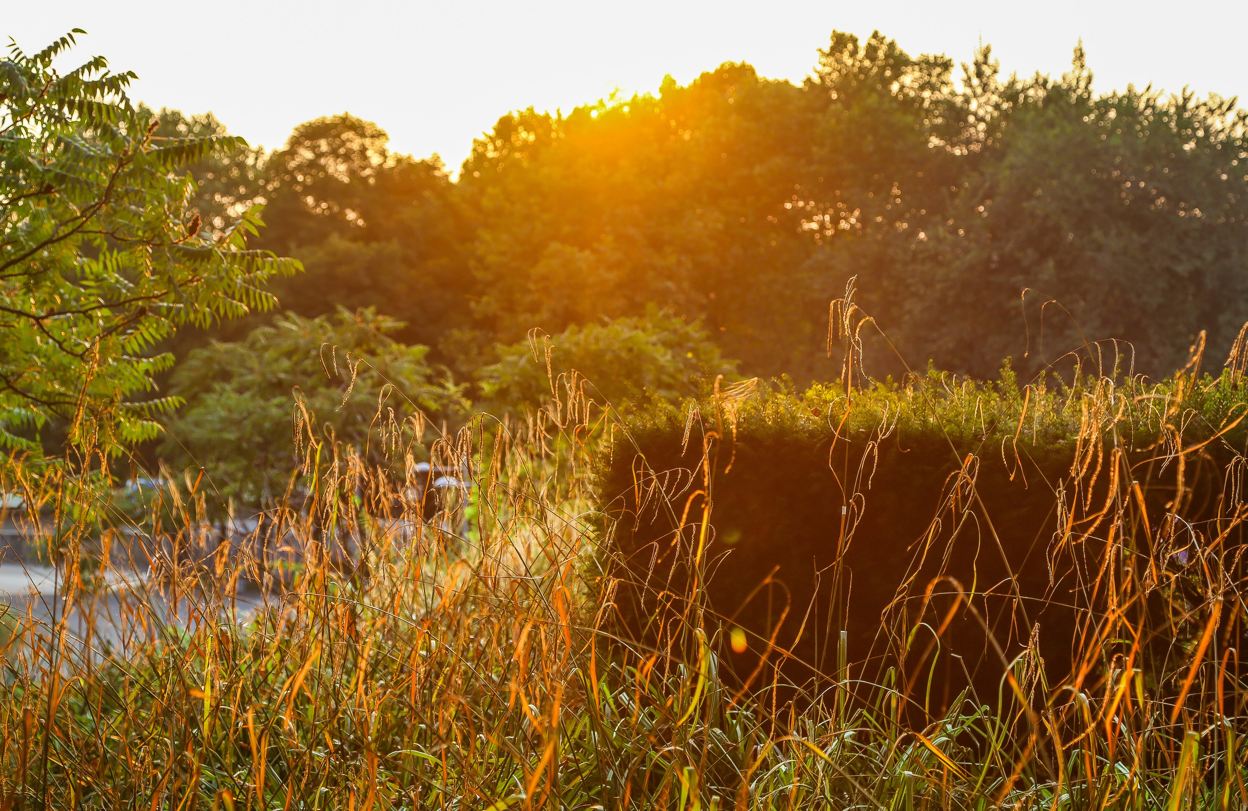 Австрия: Музыкальная Вена. Дарья Письменюк / Darya Leitstern — фотограф, музыкант, журналист, путешественник