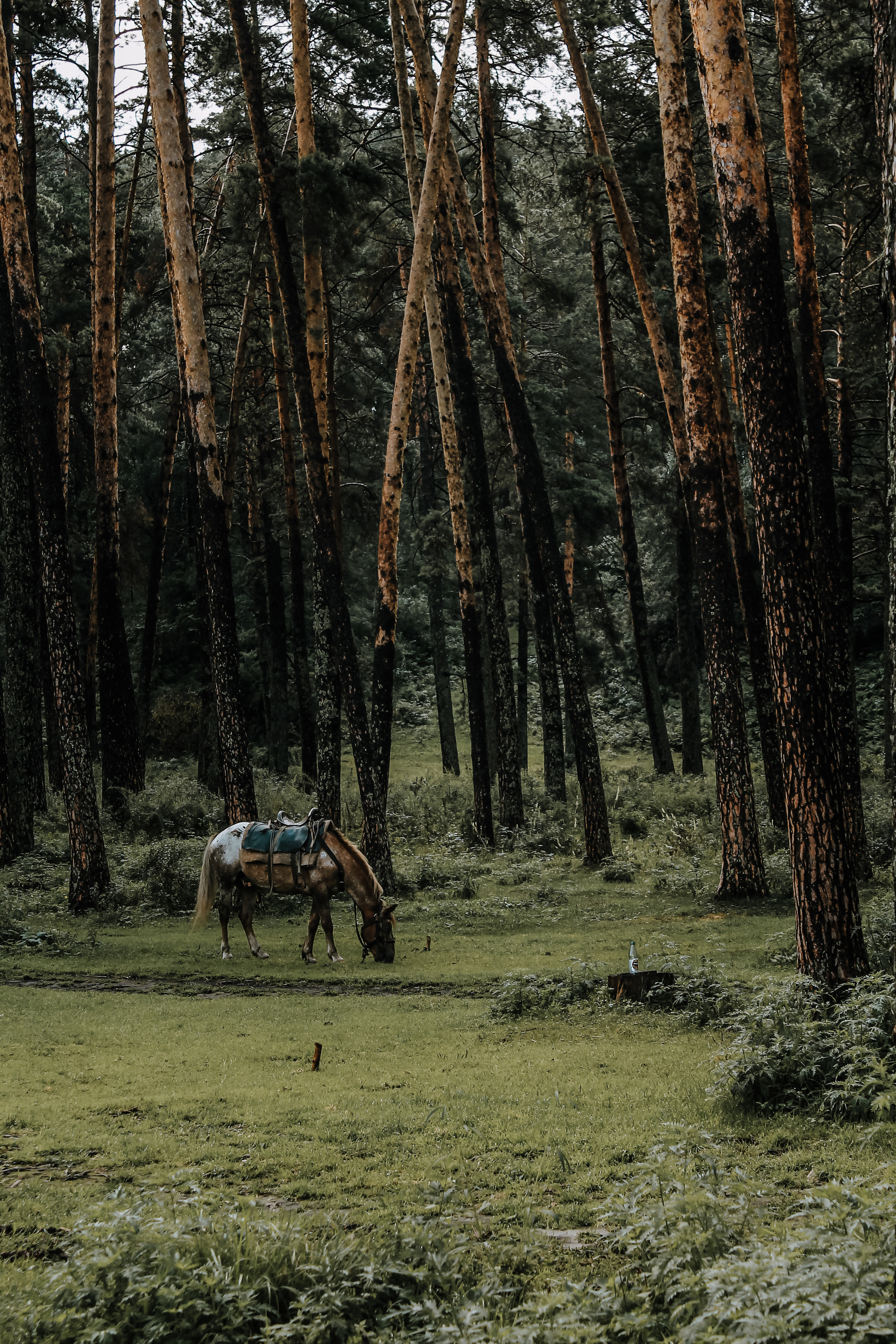Фотоконтент для продвижения бизнеса в интернете. Студия контента «СВОЕ МЕСТО»