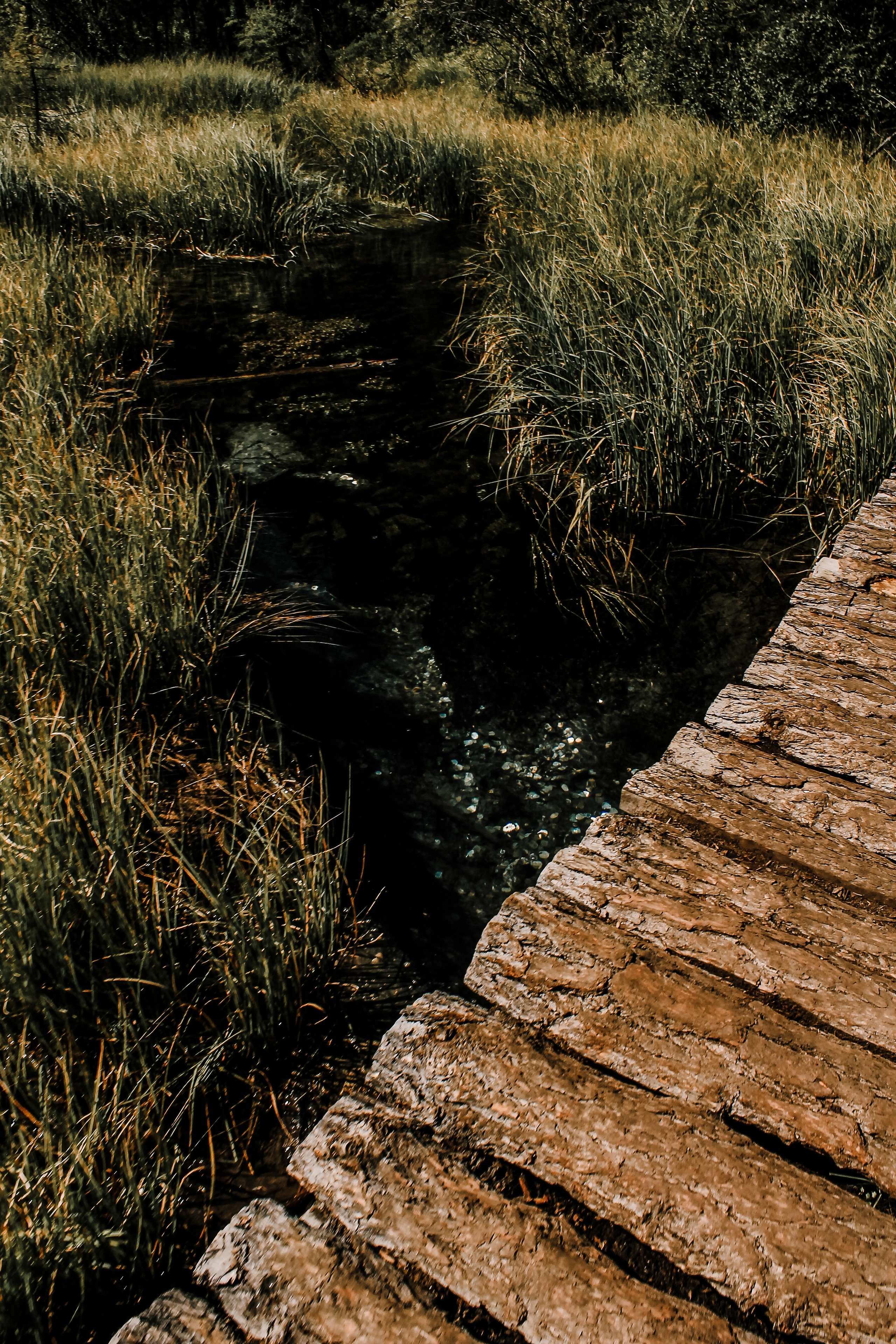 Фотоконтент для продвижения бизнеса в интернете. Студия контента «СВОЕ МЕСТО»