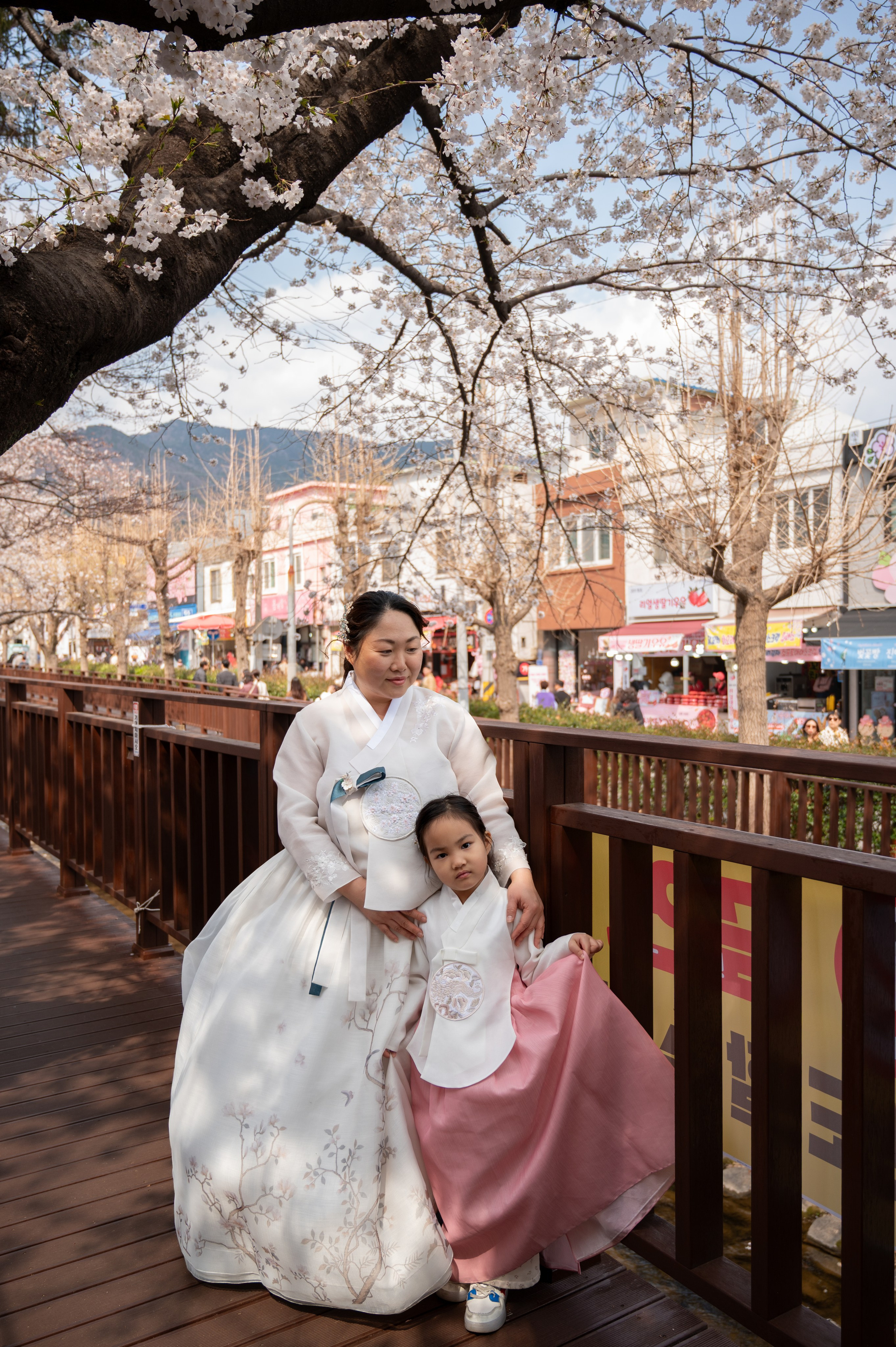 Traditional hanbok portrait under cherry blossoms in Busan Korea