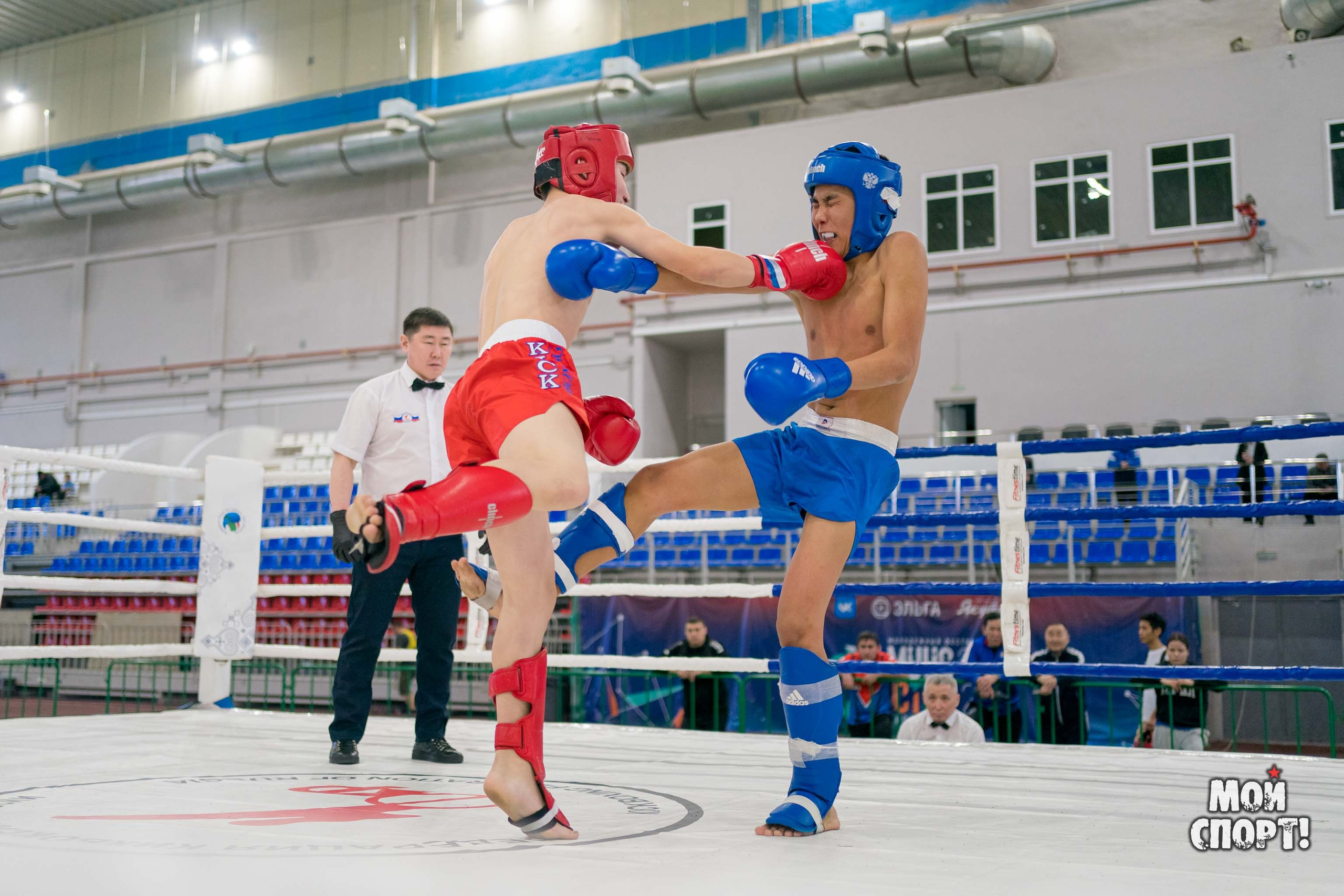 Чемпионат и Первенство ДФО по кикбоксингу памяти А. Иванова. Студия «Мой Спорт!» — все о спорте в Якутии