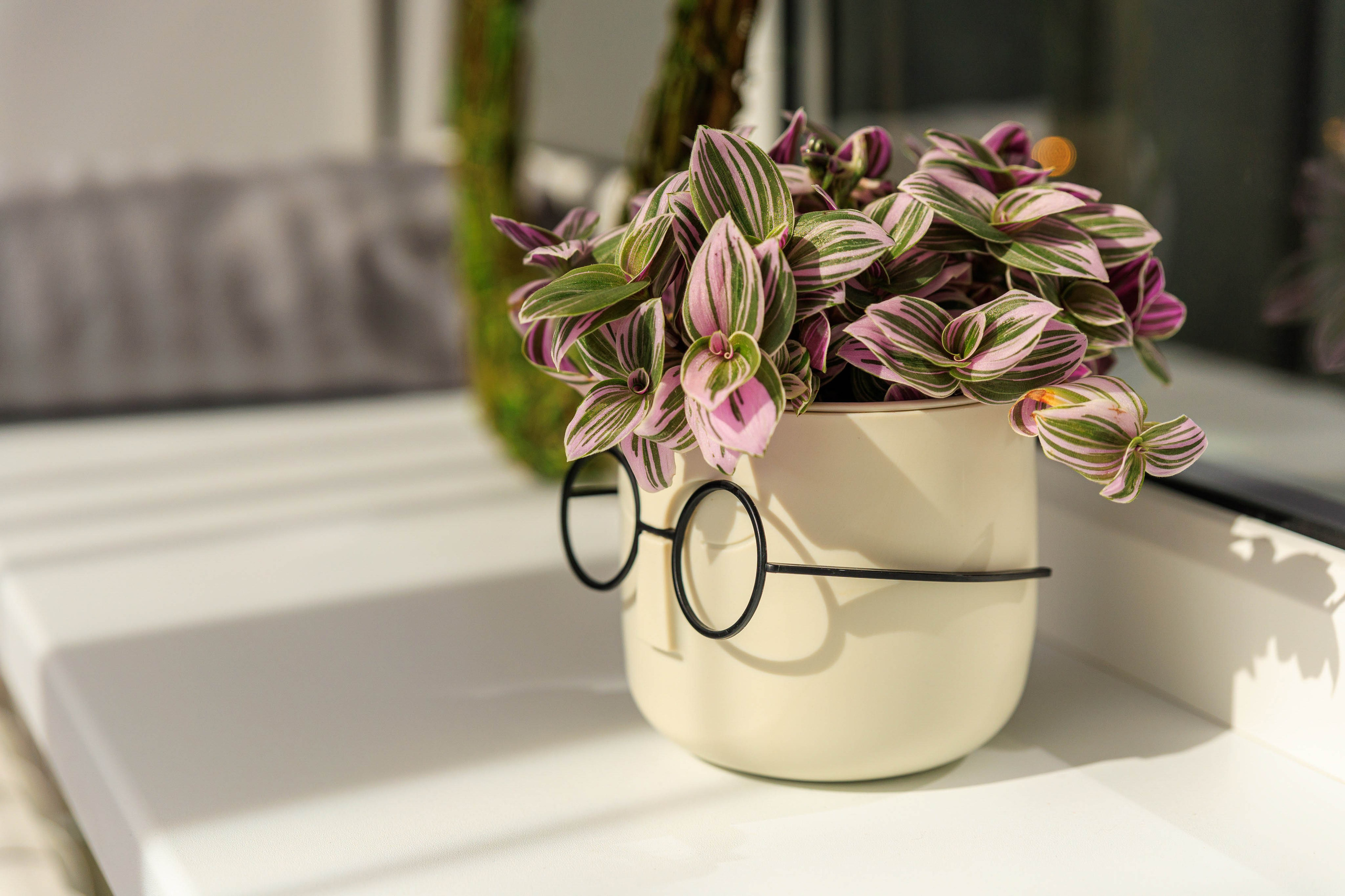 Фотограф недвижимости в Лермонтове.