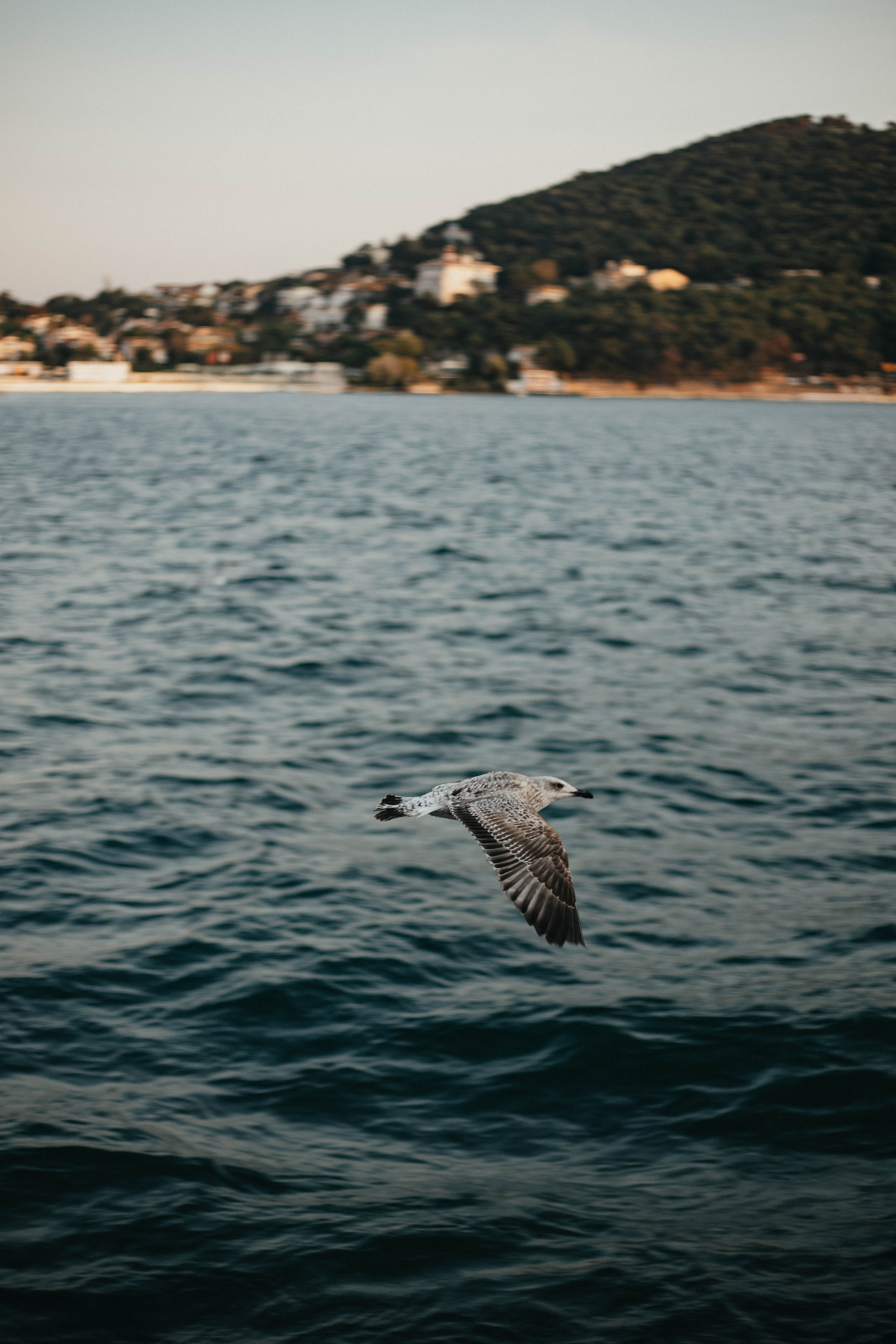 Фотограф Каролина