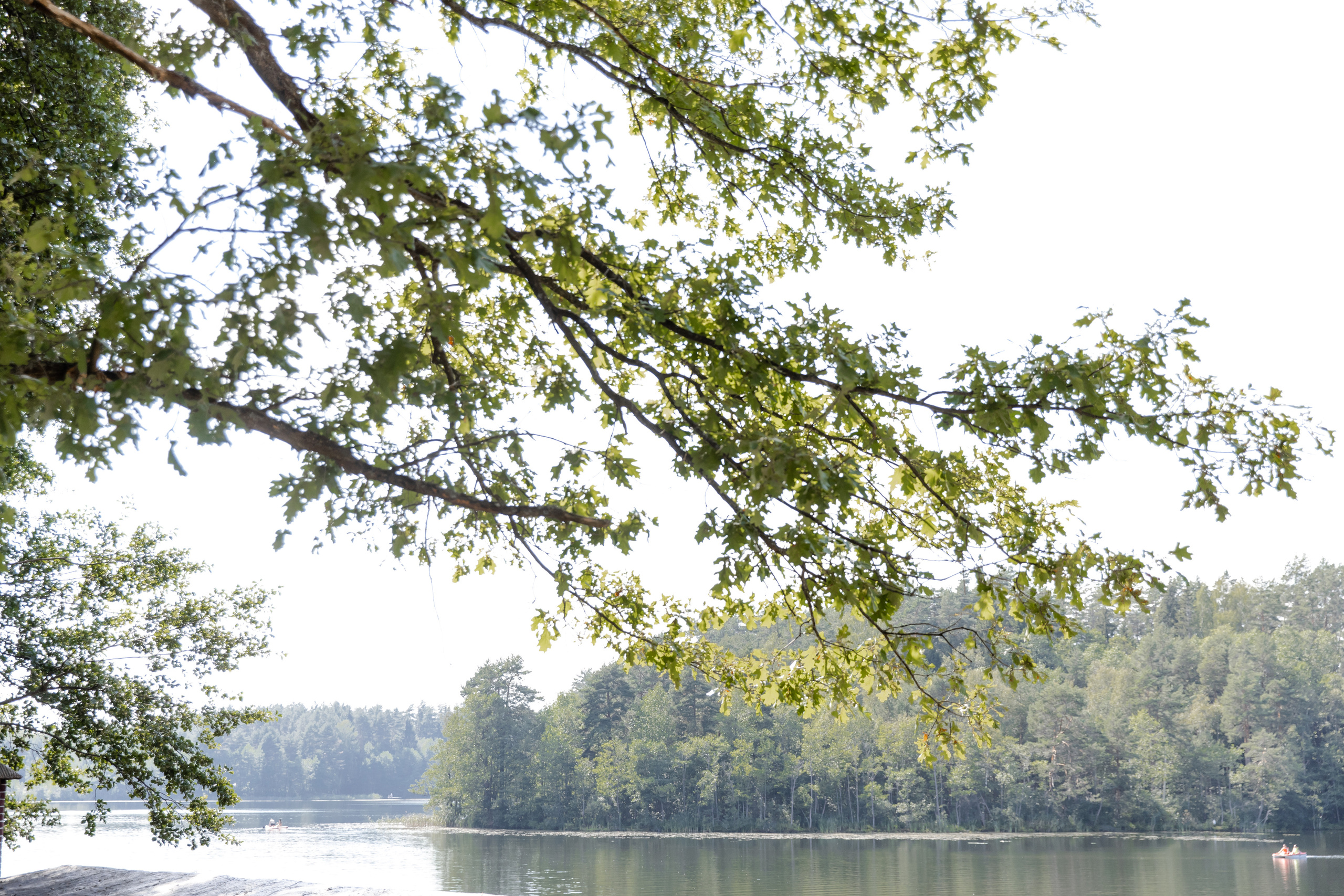 Свадебный день Антона и Ани. Свадебный фотограф Анна Бабахина