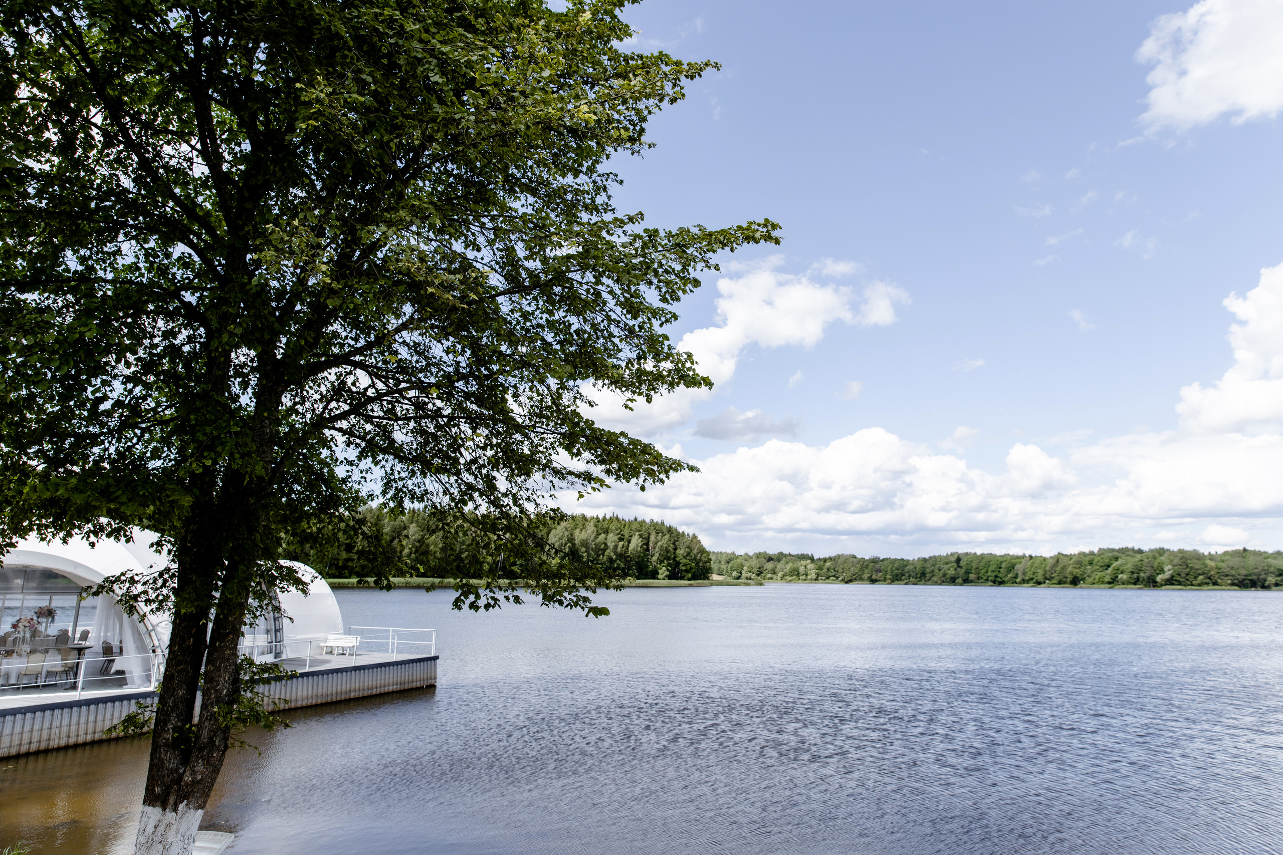 Свадебный день Григория и Татьяны. Свадебный фотограф Анна Бабахина