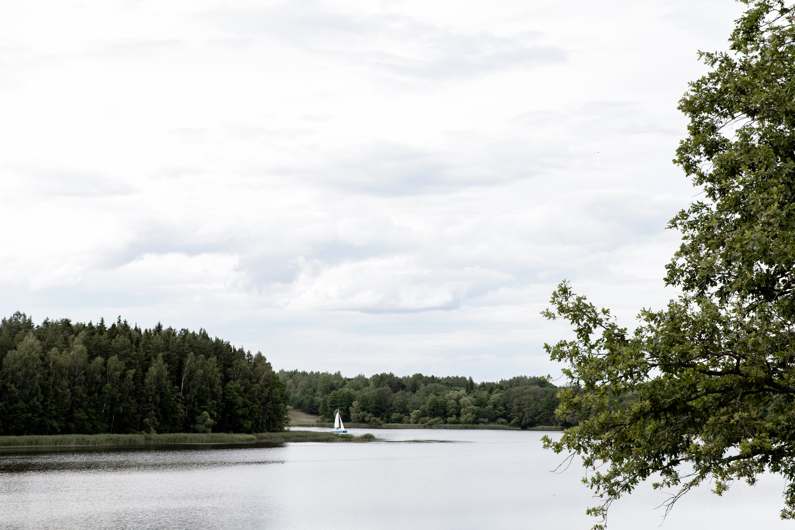 Свадебный день Сергея и Маши. Свадебный фотограф Анна Бабахина