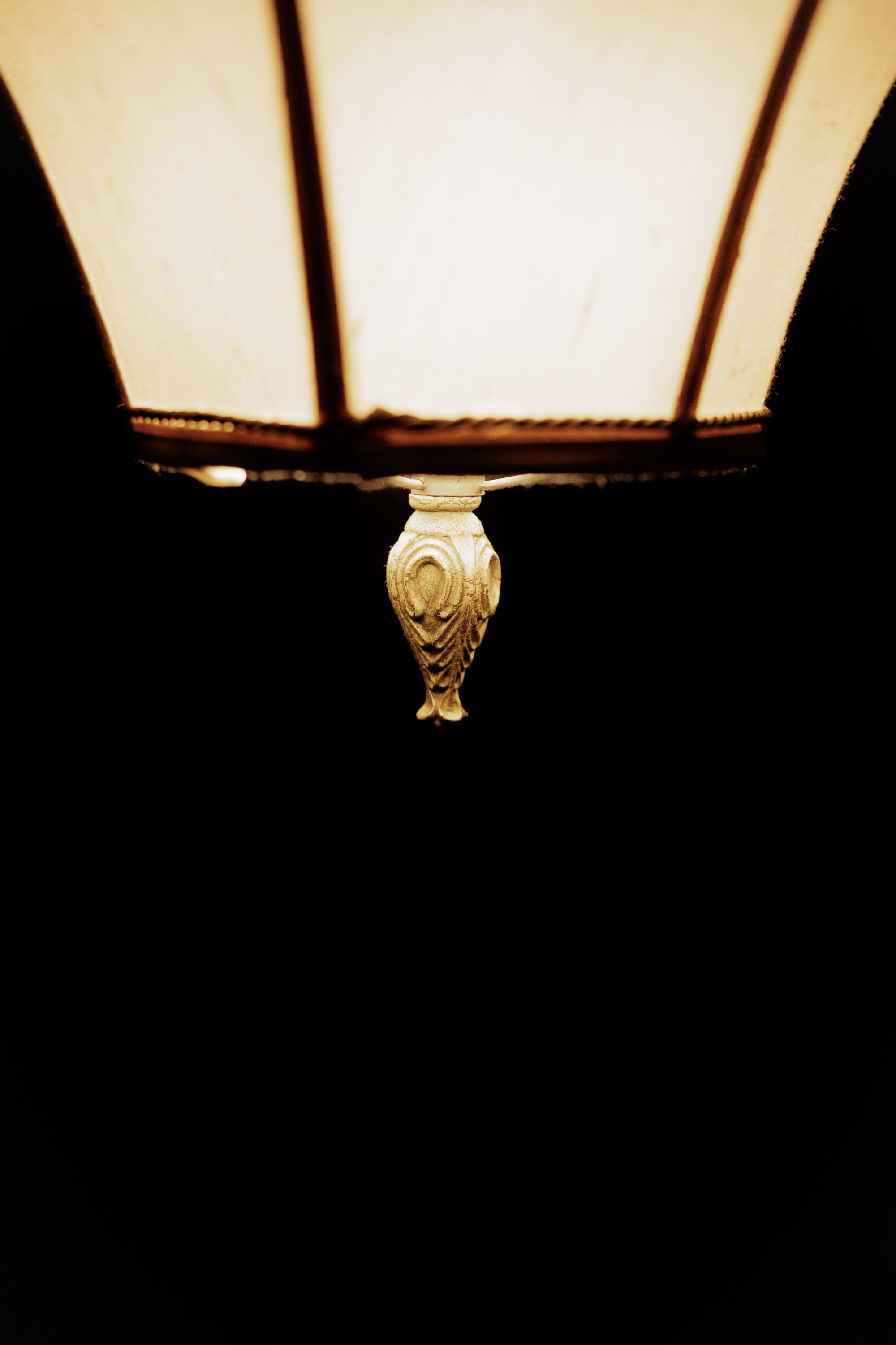 Открытие свадебного сезона 2025. Свадебный фотограф