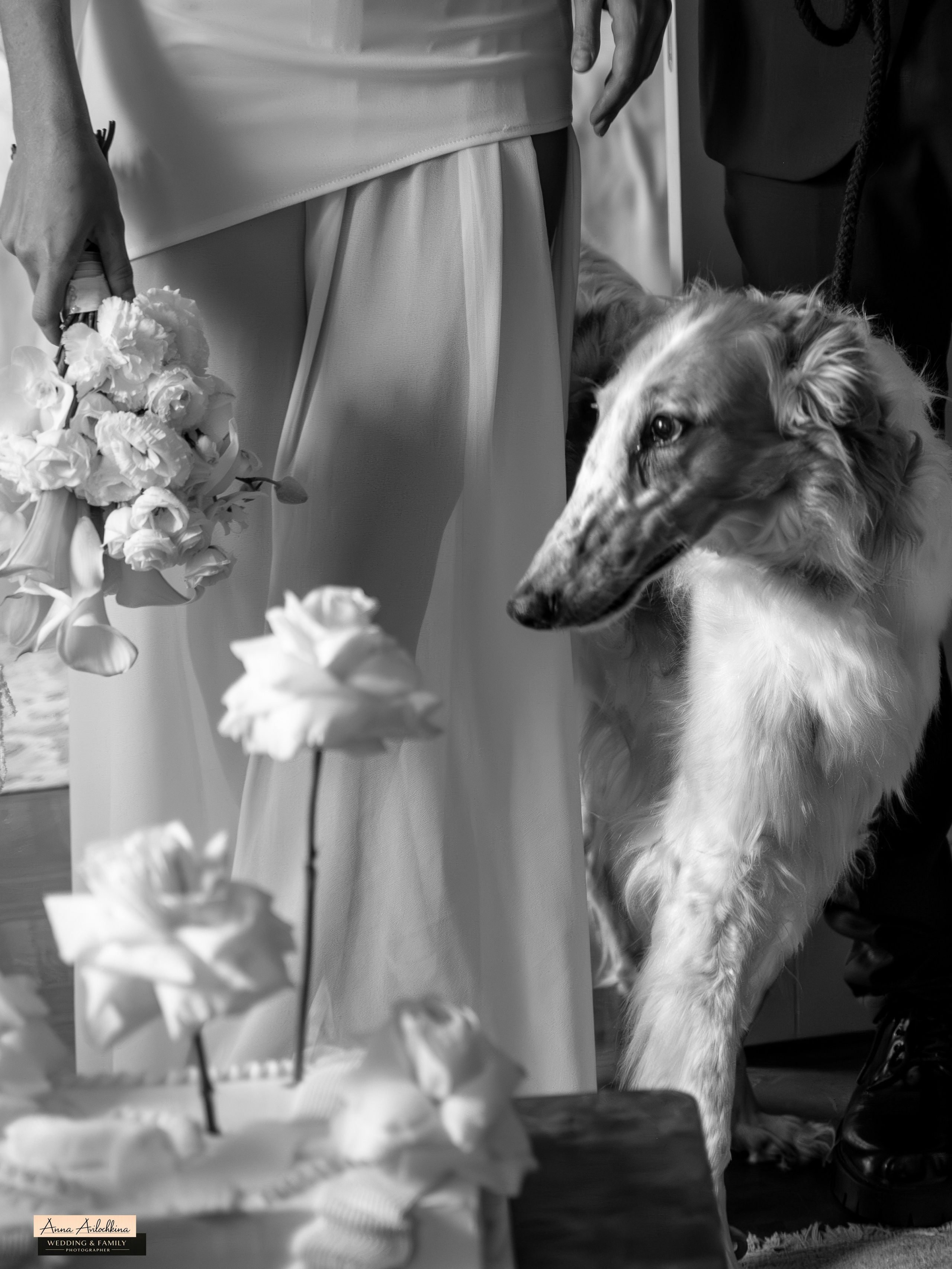 Свадебные съёмки. Семейный и свадебный фотограф в Москве и Домодедово Анна Авилочкина