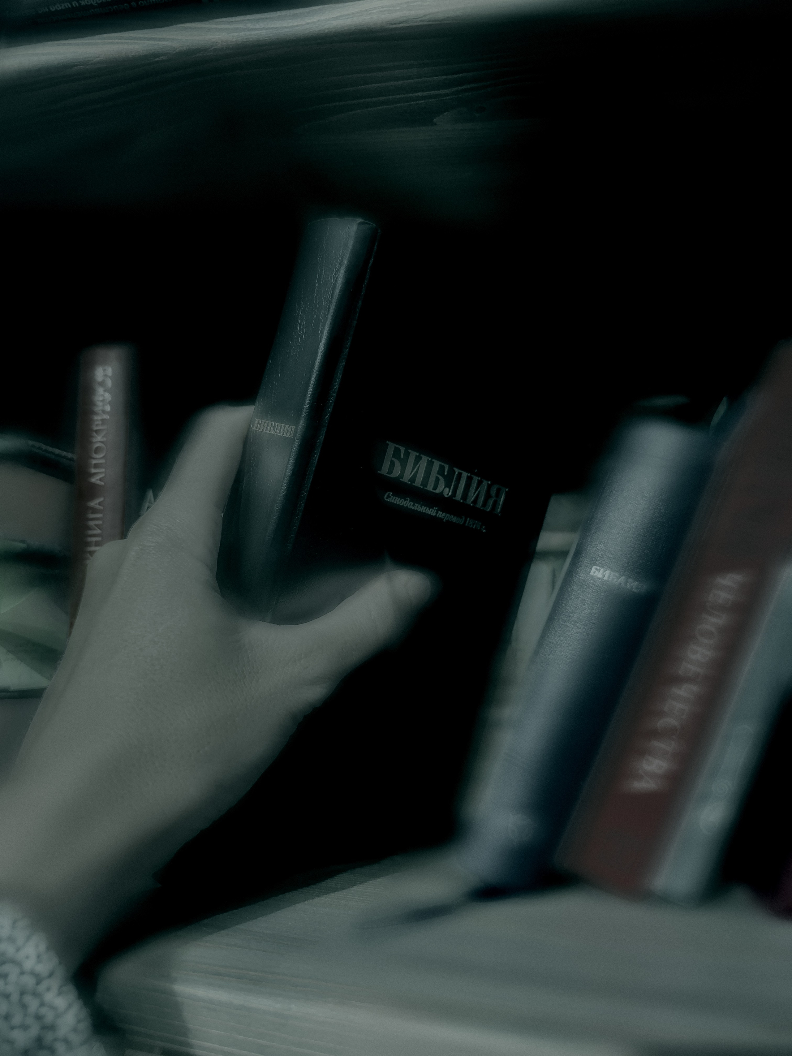 NOVICIATE. Art Рhotographer Russia/Moscow