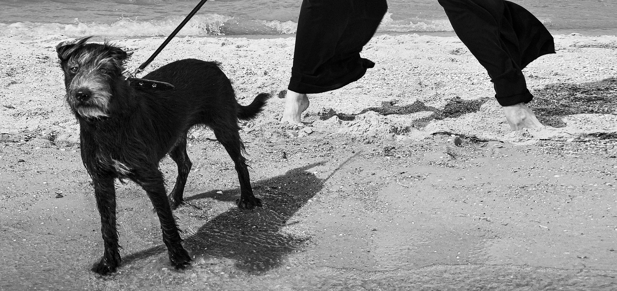 Купить черно-белую картину для интерьера гостиной