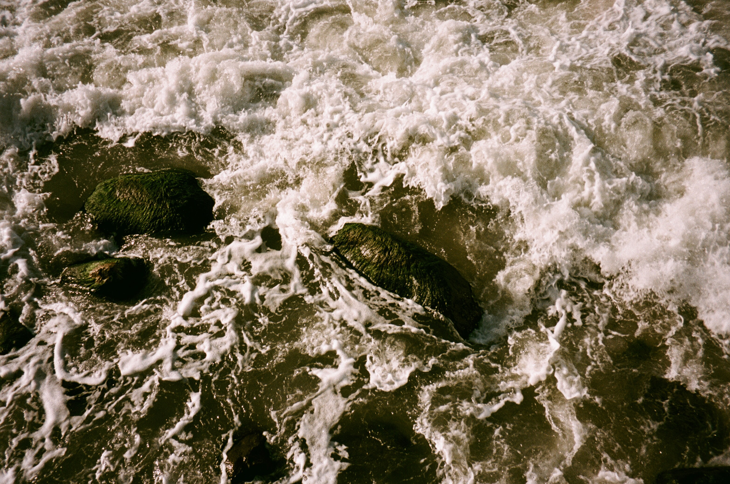 Женские портреты. Алина Арбузова. Фотограф в Санкт-Петербурге