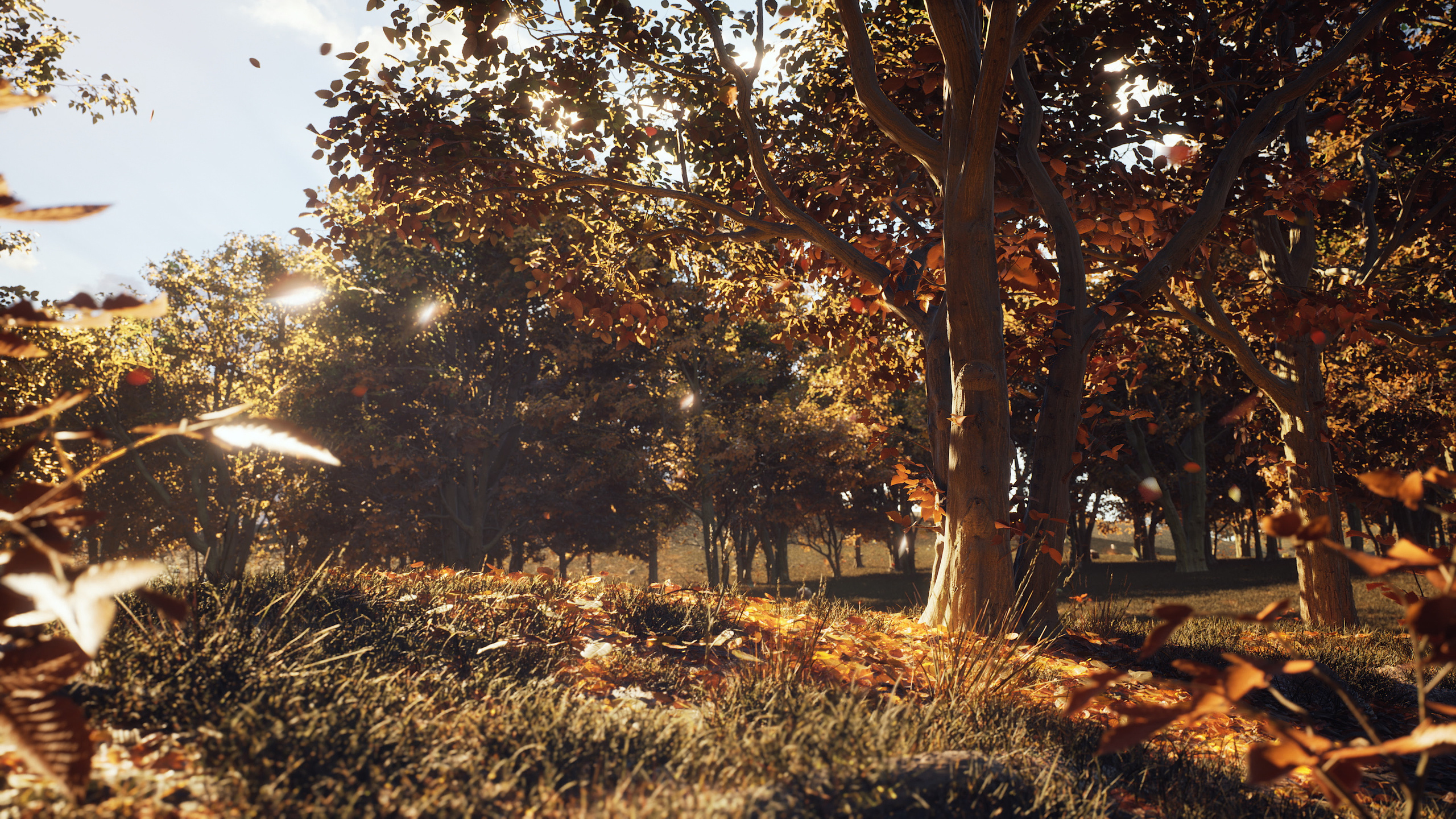 Осенний Лес | 2022. 6/88 Studio — производство графики под ключ на Unreal Engine