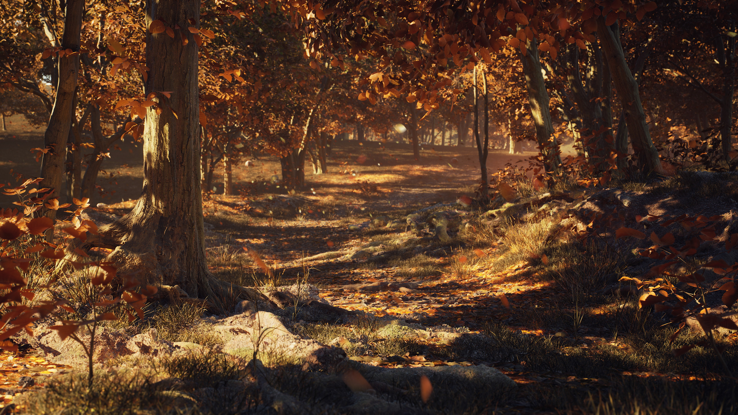 Осенний Лес | 2022. 6/88 Studio — производство графики под ключ на Unreal Engine