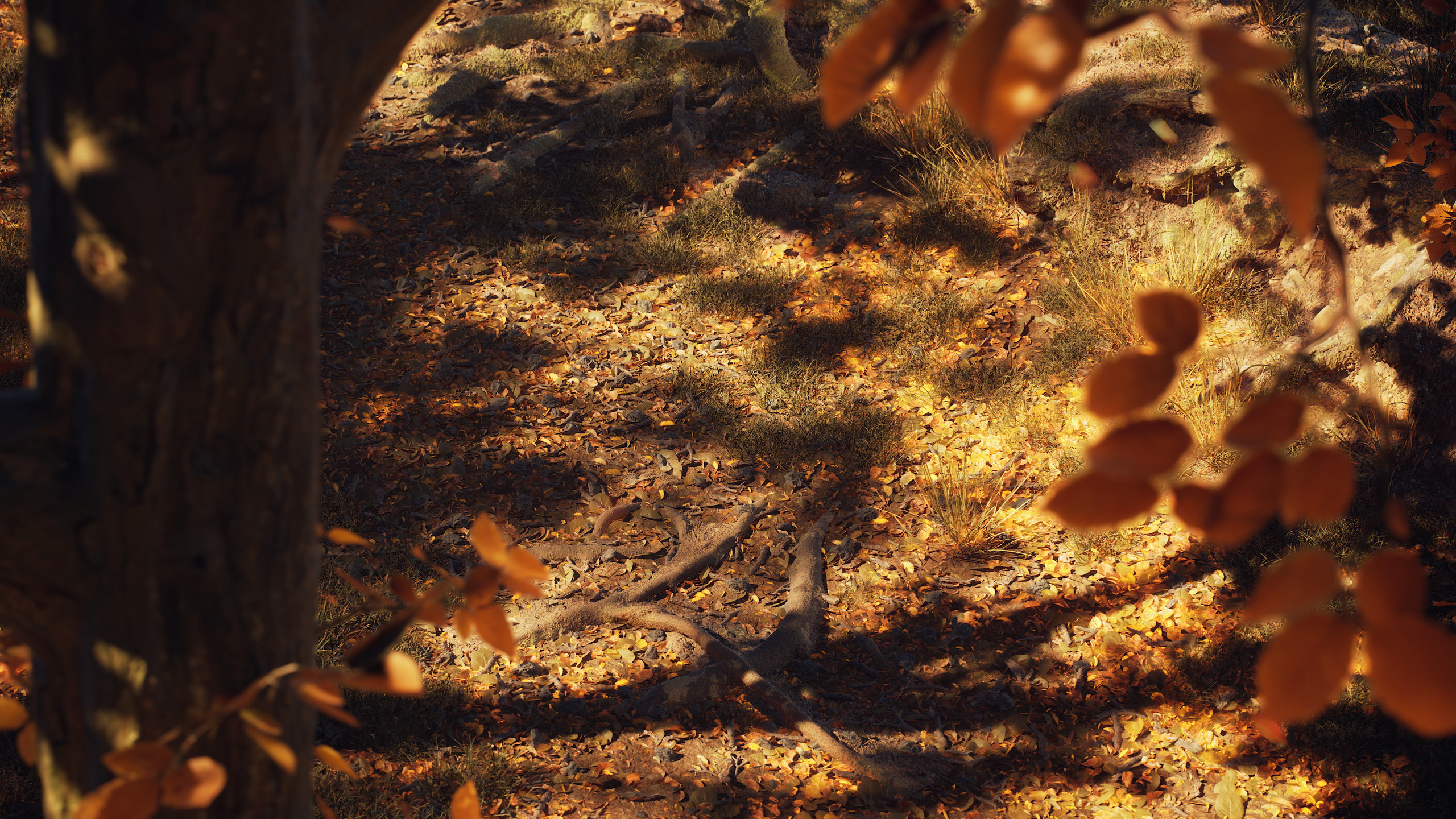 Осенний Лес | 2022. 6/88 Studio — производство графики под ключ на Unreal Engine